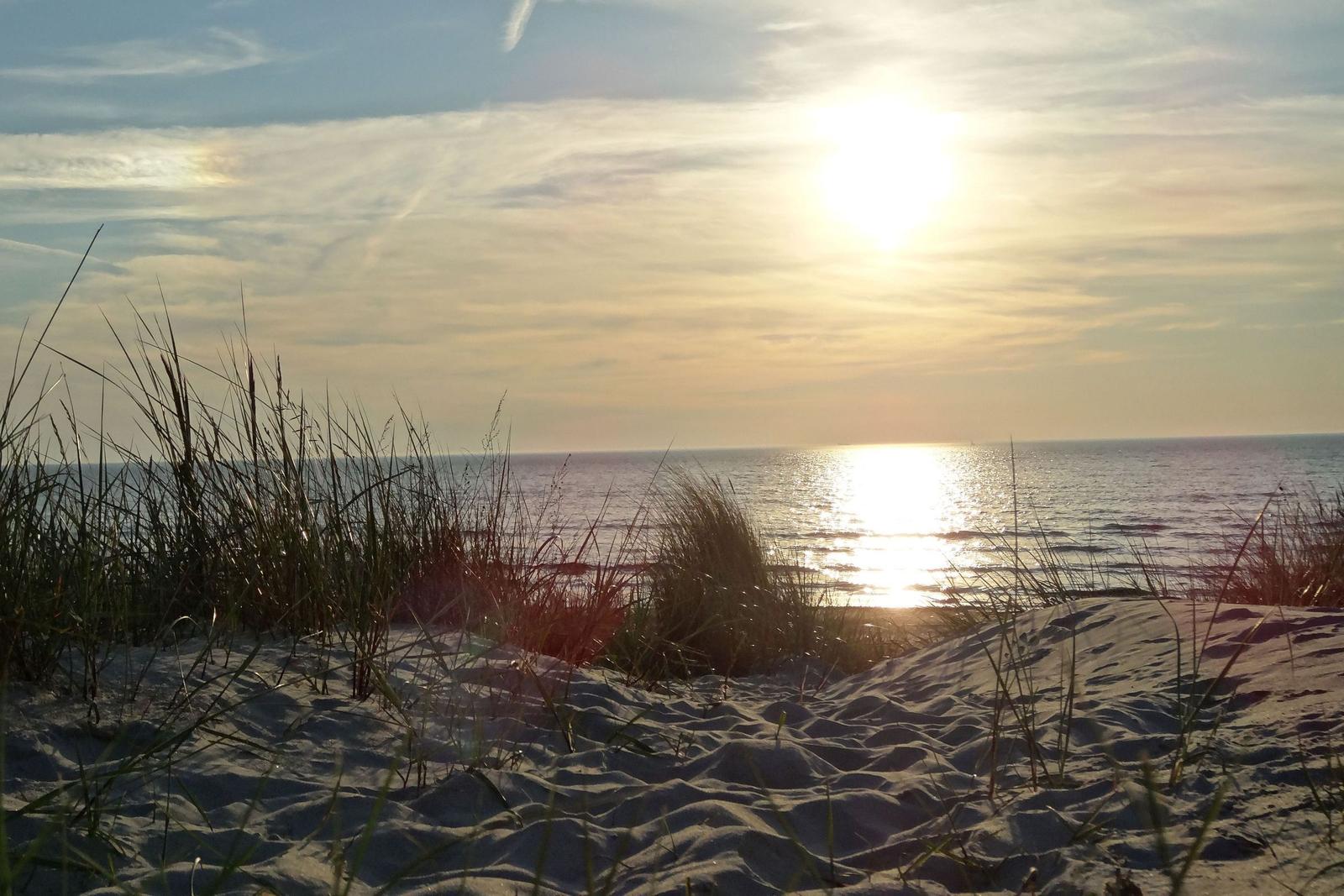 Blick auf das Meer mit einem Birkenbaum im Vordergrund und einer fernen Küstenlinie.