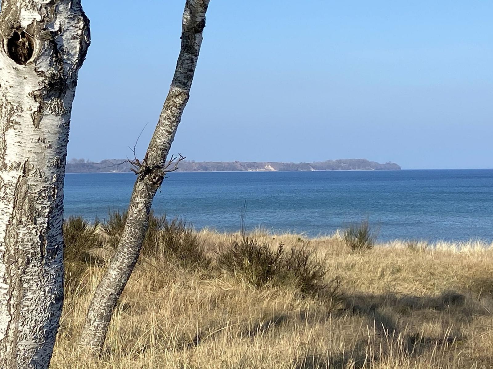 Vier Möwen fliegen über Meer und Strand unter blauem Himmel.