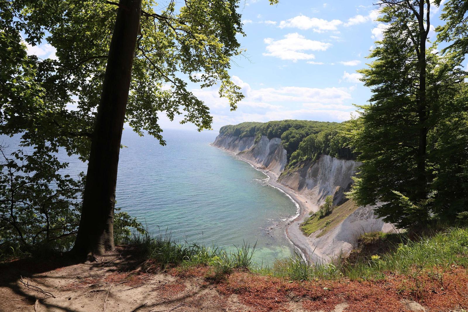 Strand mit Felsen und Wald unter blauem Himmel mit weißen Wolken.
