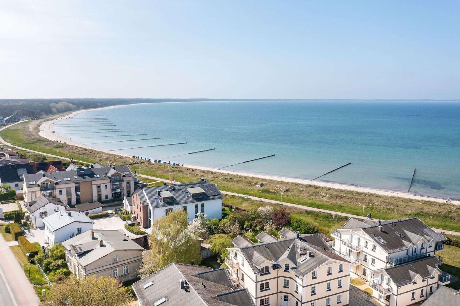 Aerielansicht eines Strandes mit Wald und blauem Meer unter klarem Himmel.