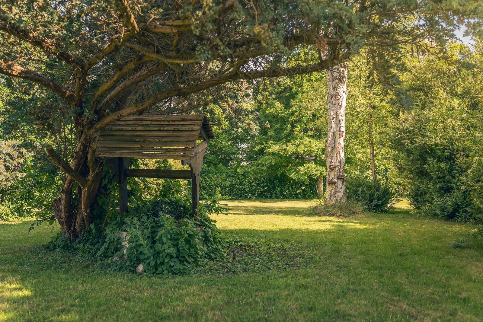 Hinter einem Garten mit Gras und Pflanzen steht eine Bank vor einer weißen Wand mit einem roten Rad.
