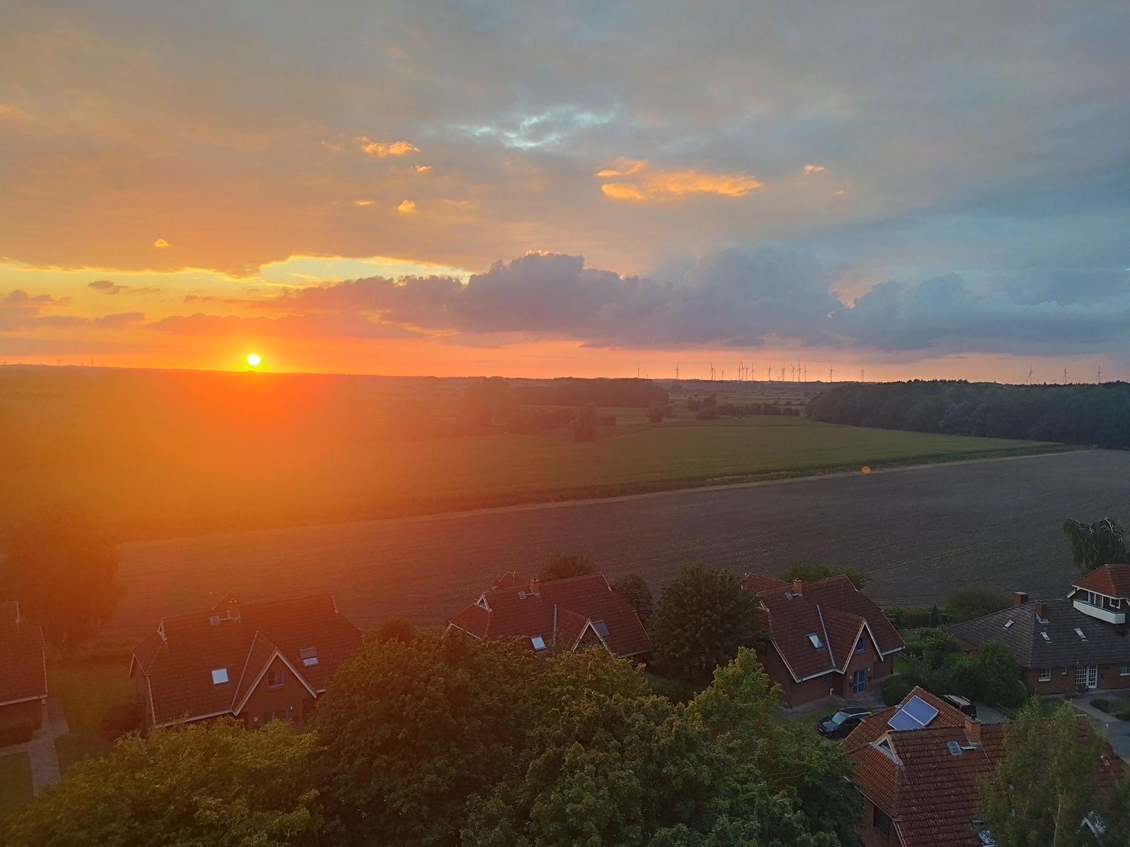 Sonnenuntergang über Feldern mit Vogel im Vordergrund