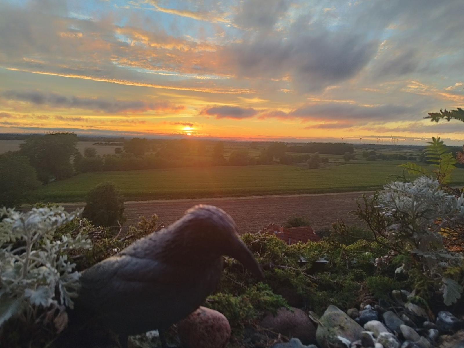 Gepflegter Garten mit Beeten, Sträuchern und Blick auf Landschaft.