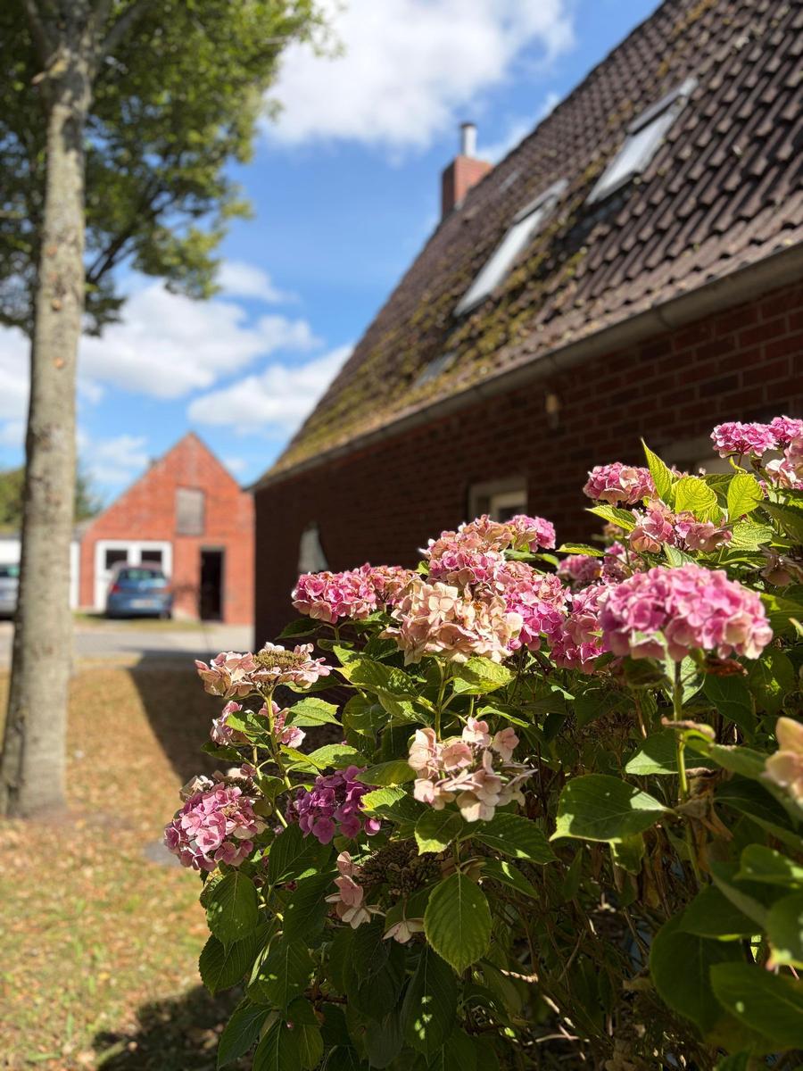 Hauptansicht