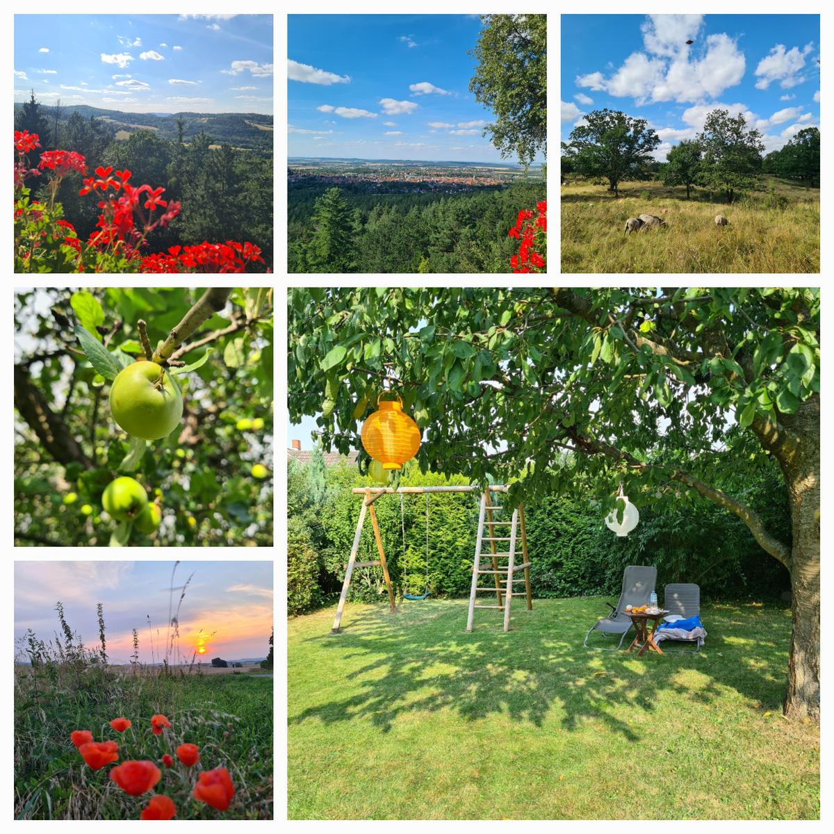Aussicht vom Maltermeister Turm bei Goslar, Wolfshagen, Bettingerrode +Garten " Liegen unter dem Kirschbaum" u. Obstnaschen erwünscht...