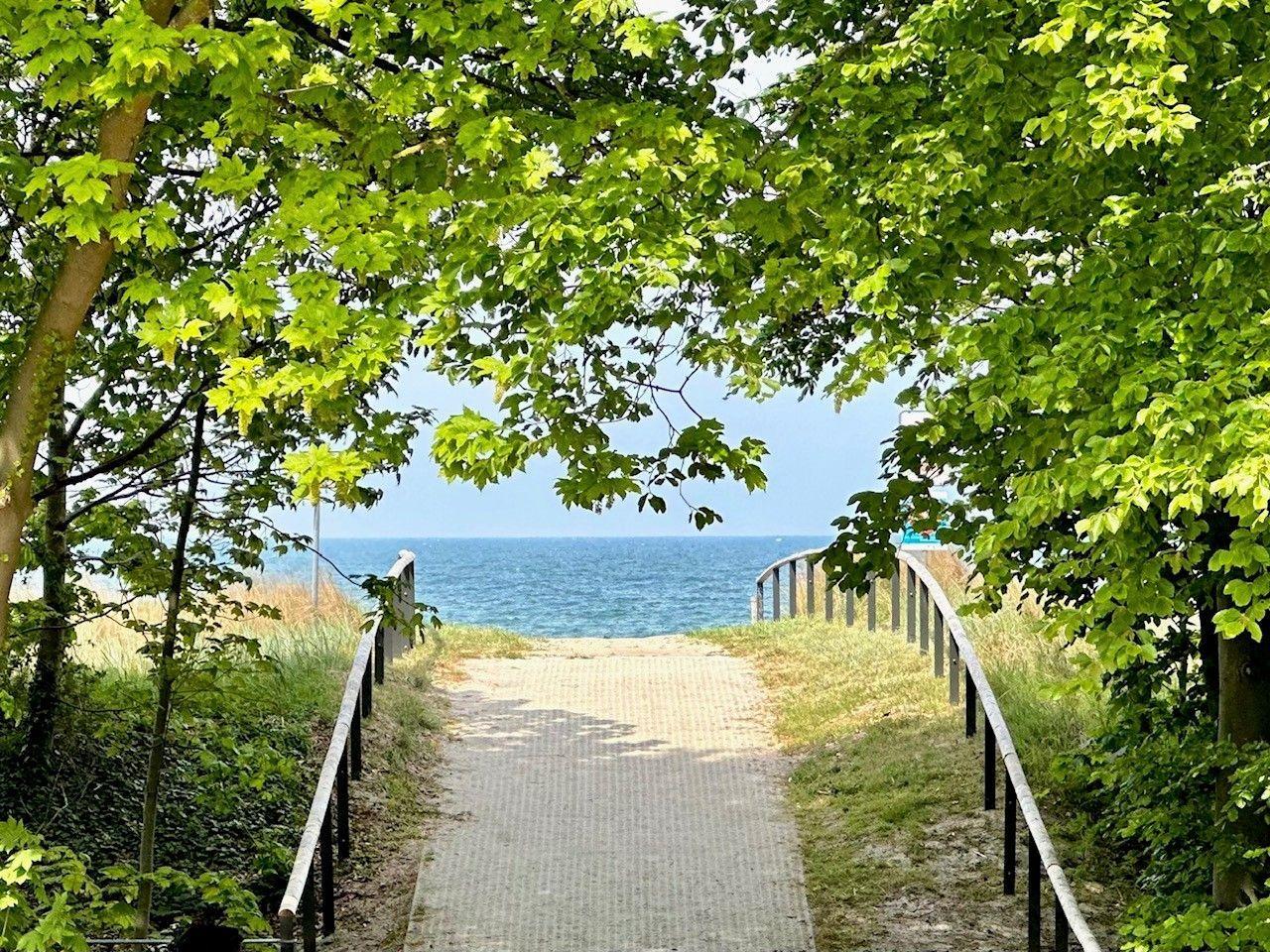 Seebrücke Zingst