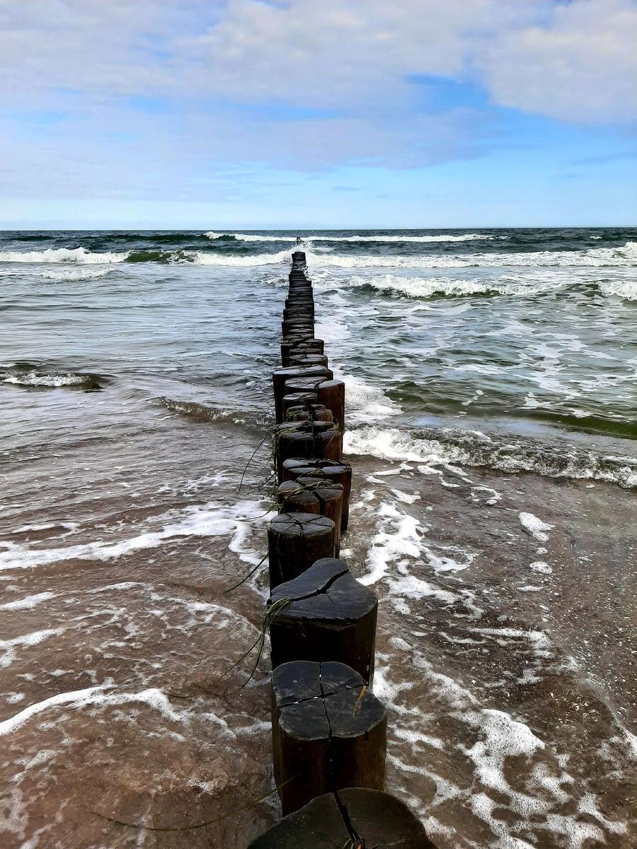 Eine Möwe steht auf einem weißen Wickerstuhl am Strand mit Meeresblick.