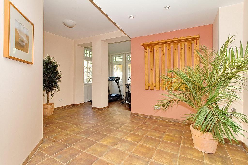 Raum mit Liegestühlen, Pflanzen und Glasregal. Wandbild und Beleuchtung sichtbar.