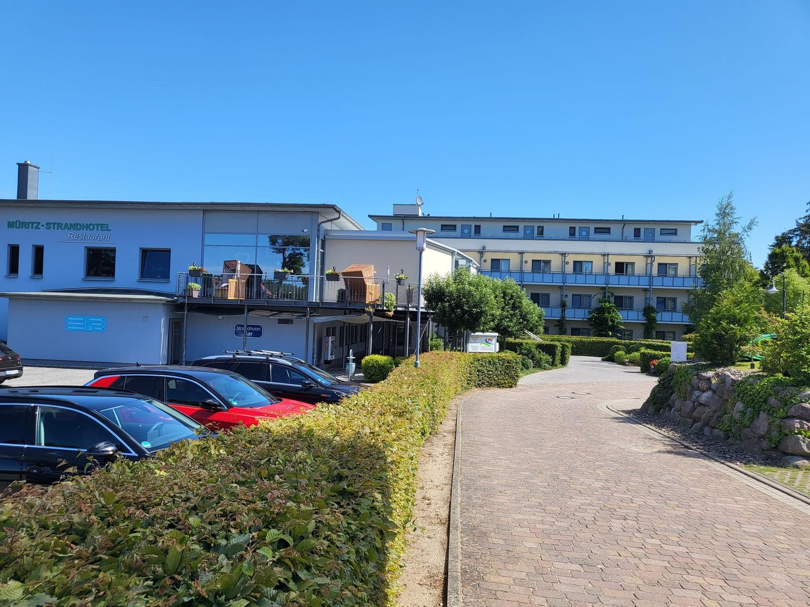 Gehweg durch grünen Park mit Bäumen und Blick auf See.