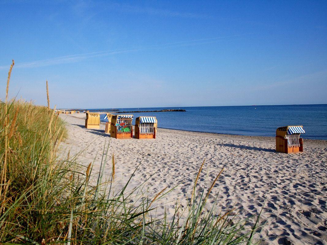 Strand mit Gräsern im Vordergrund und einem Kreuzfahrtschiff im Hintergrund.