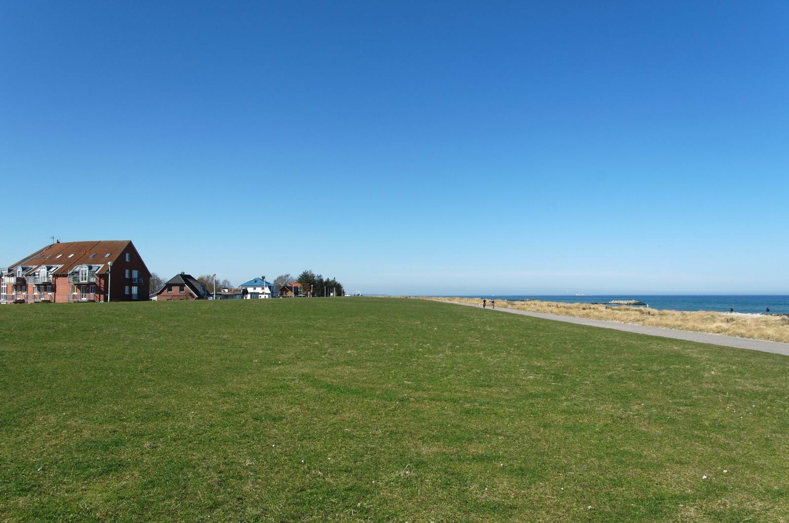 Hochstauden im Vordergrund, im Hintergrund See und Pier.