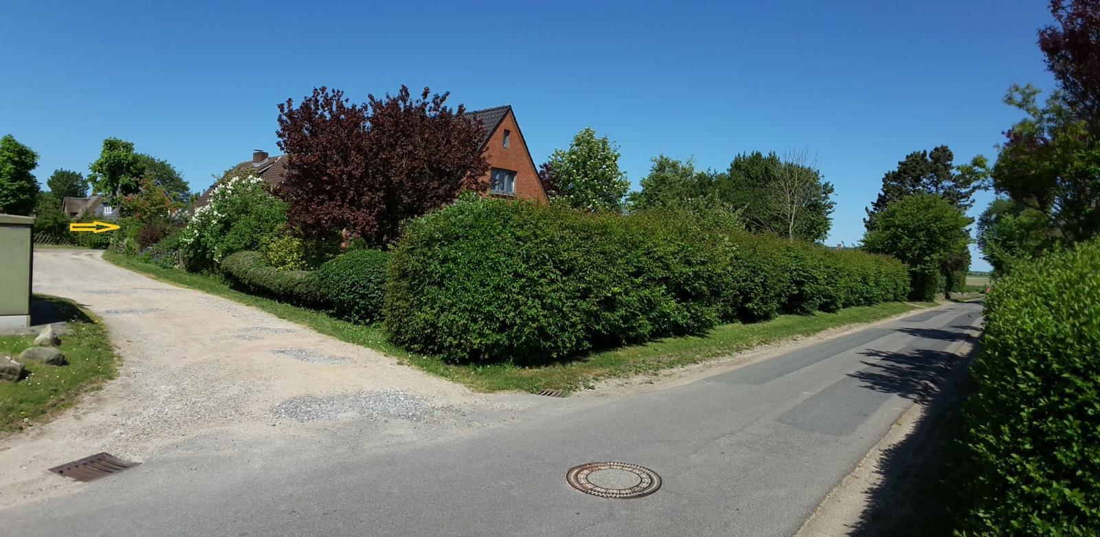 Rotes Backsteingebäude mit Gartenterrasse und blühenden Sträuchern im Vordergrund.
