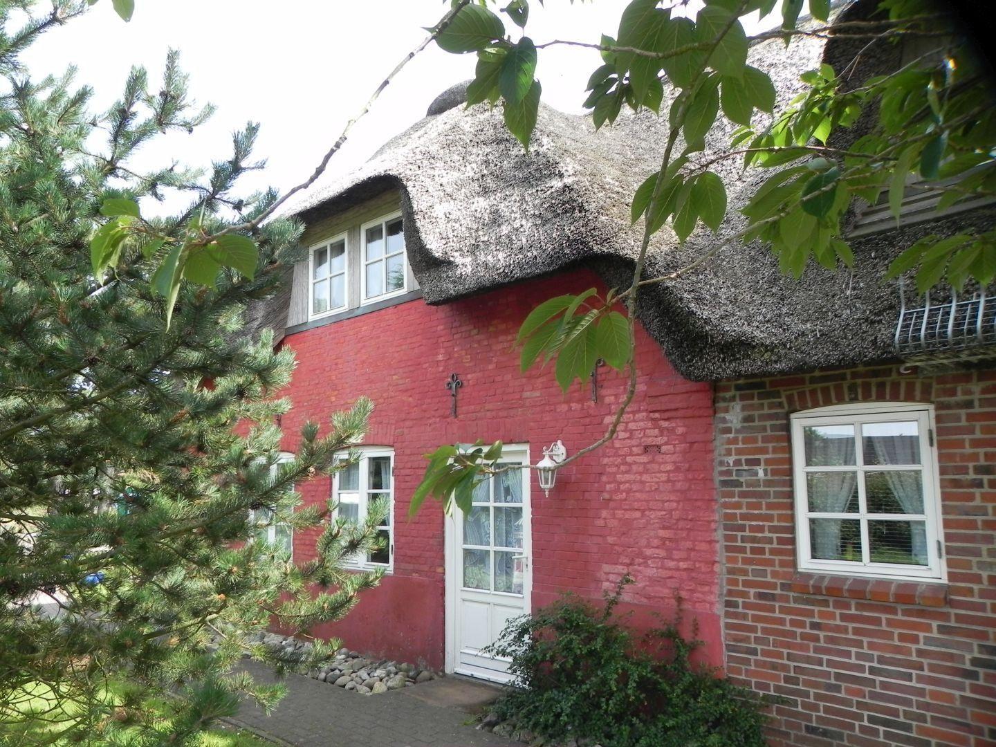 Garten mit Rosen am ferienhaus Sanskiin in Süddorf auf Amrum
