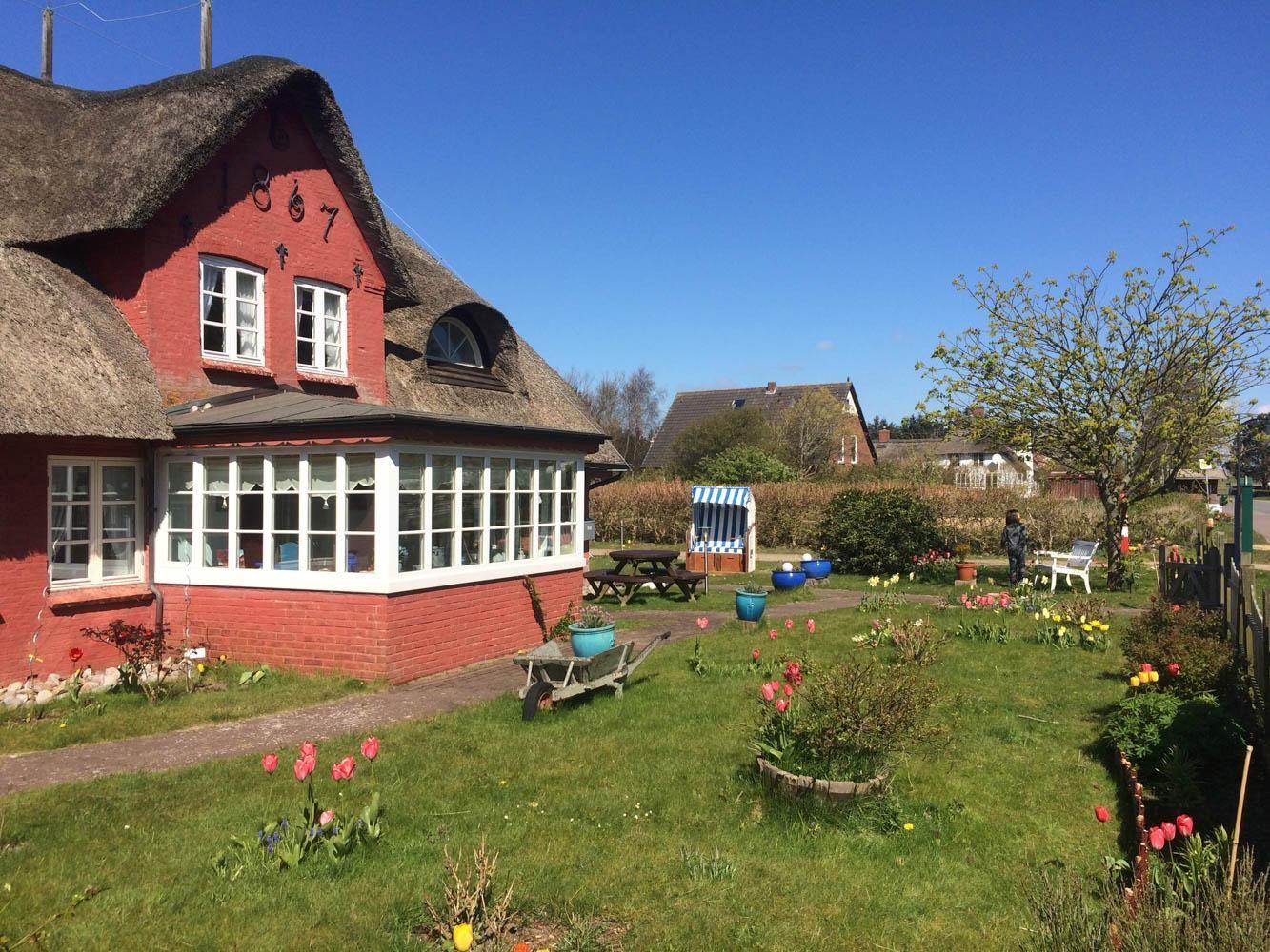 Tulpengarten am Hüs Sanskiin in Süddorf auf Amrum