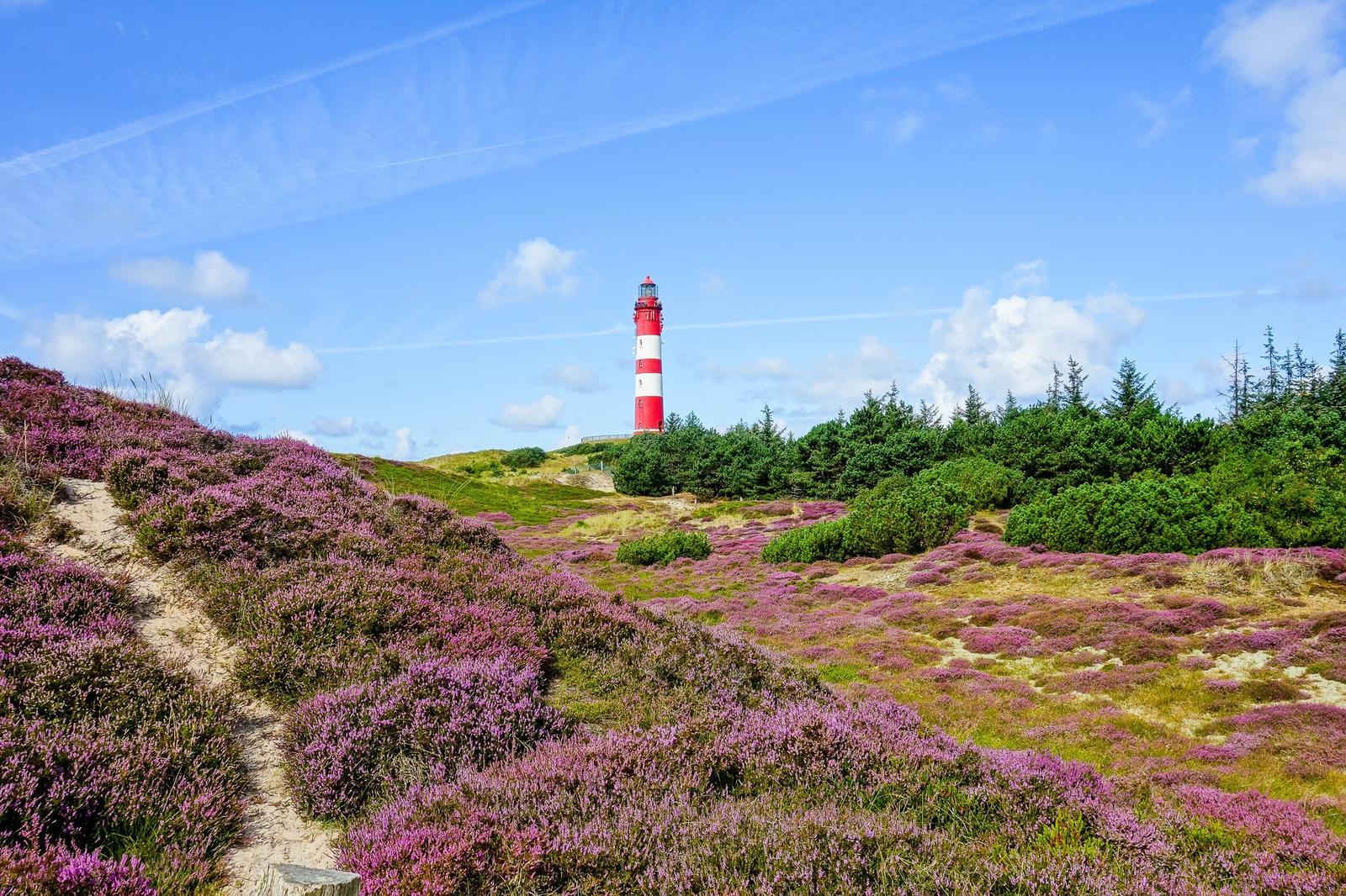Amrum Ferienwohnung und Ferienhäuser. Urlaub einfach buchen!