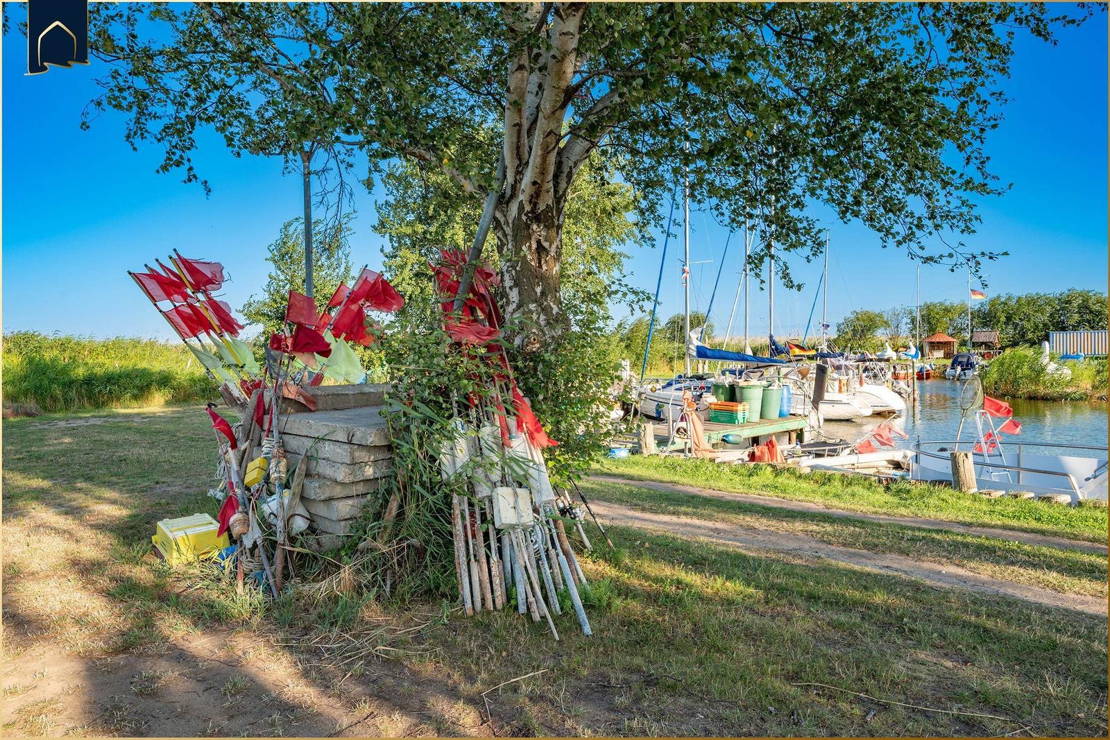 Holzsteg führt zum Wasser. Umgeben von Grün und blauem Himmel mit weißen Wolken.
