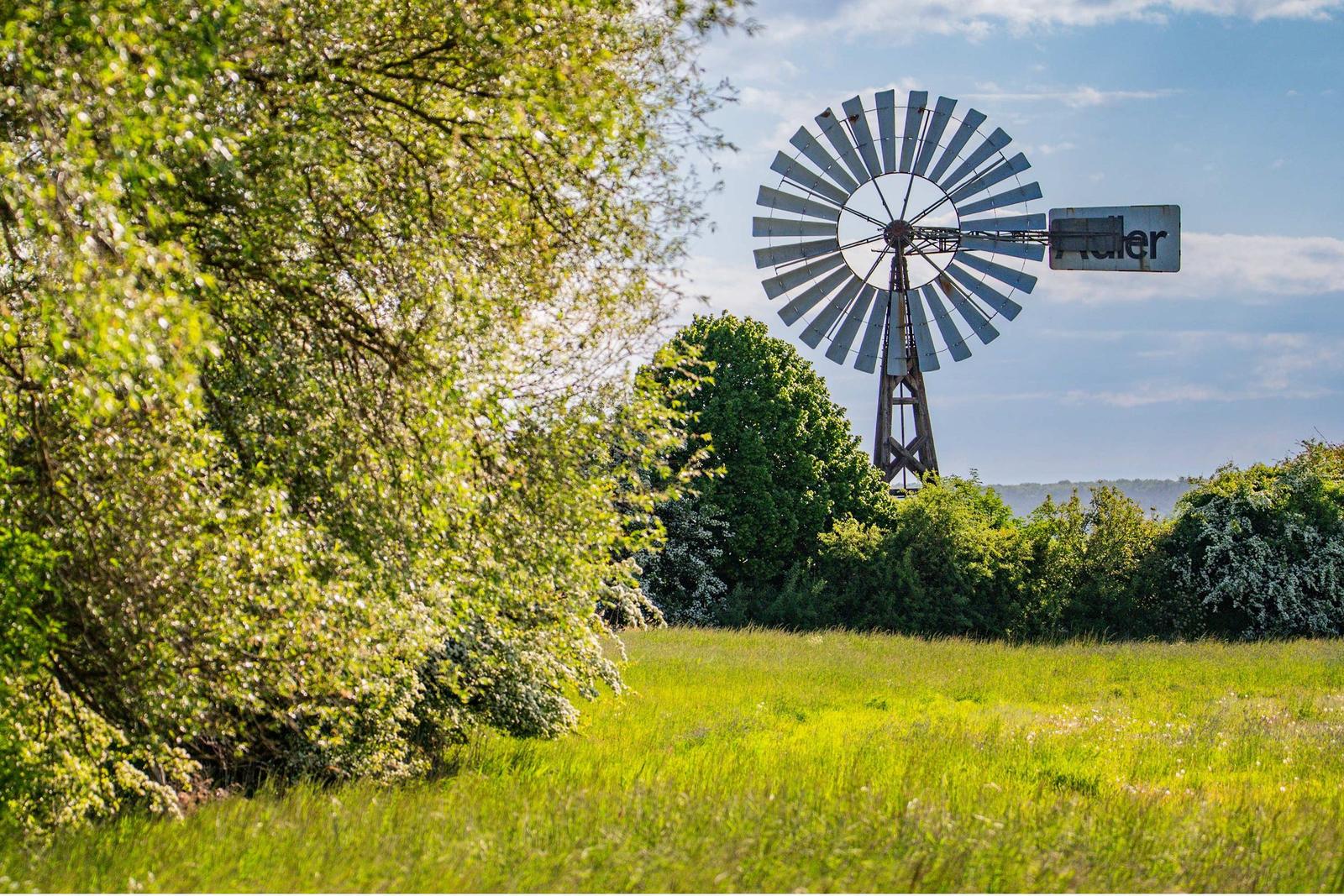 Sandhügel mit Strandgras und Blick auf den See und Pier.