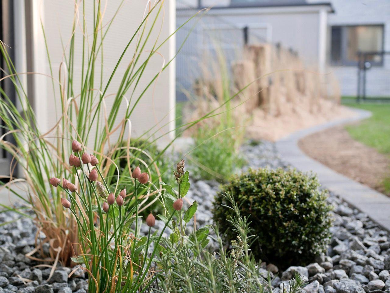 Gartenweg mit Sandbeeten und hohen Gräsern neben einem Zaun.