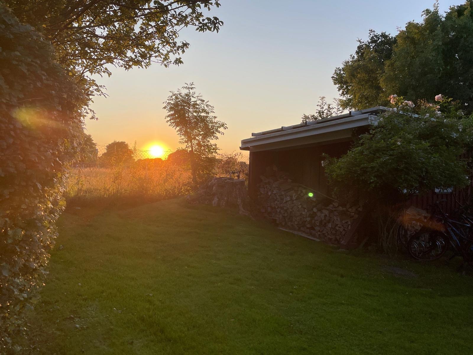 Rotes Backsteingebäude mit strohgedecktem Dach und grüner Tür im Garten.
