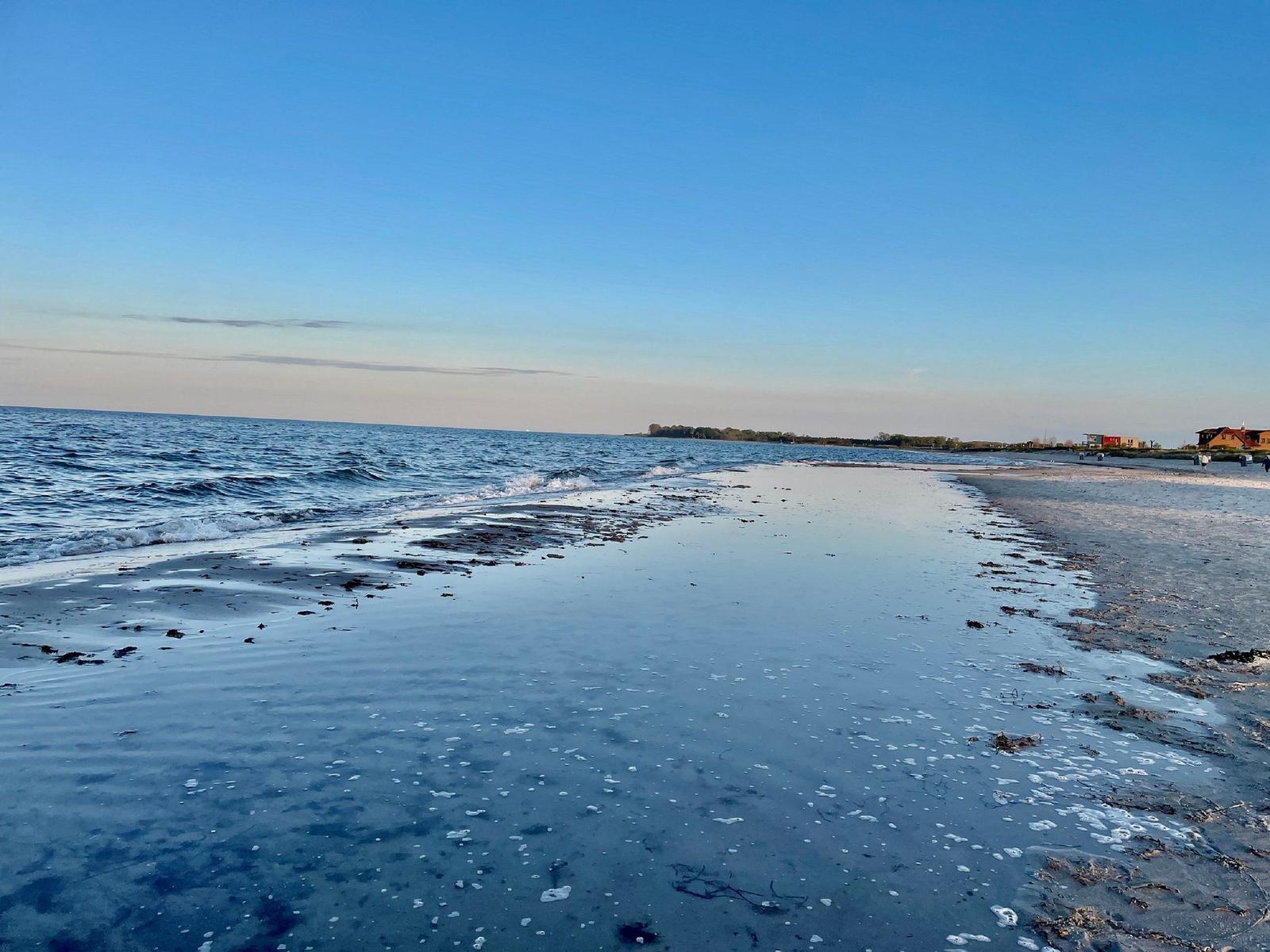 Weite grüne Wiese bei Sonnenuntergang mit Bäumen am Horizont.