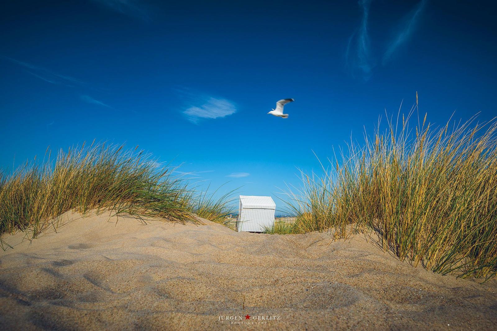 Sunset over the sea with dunes and beach grass in the foreground.