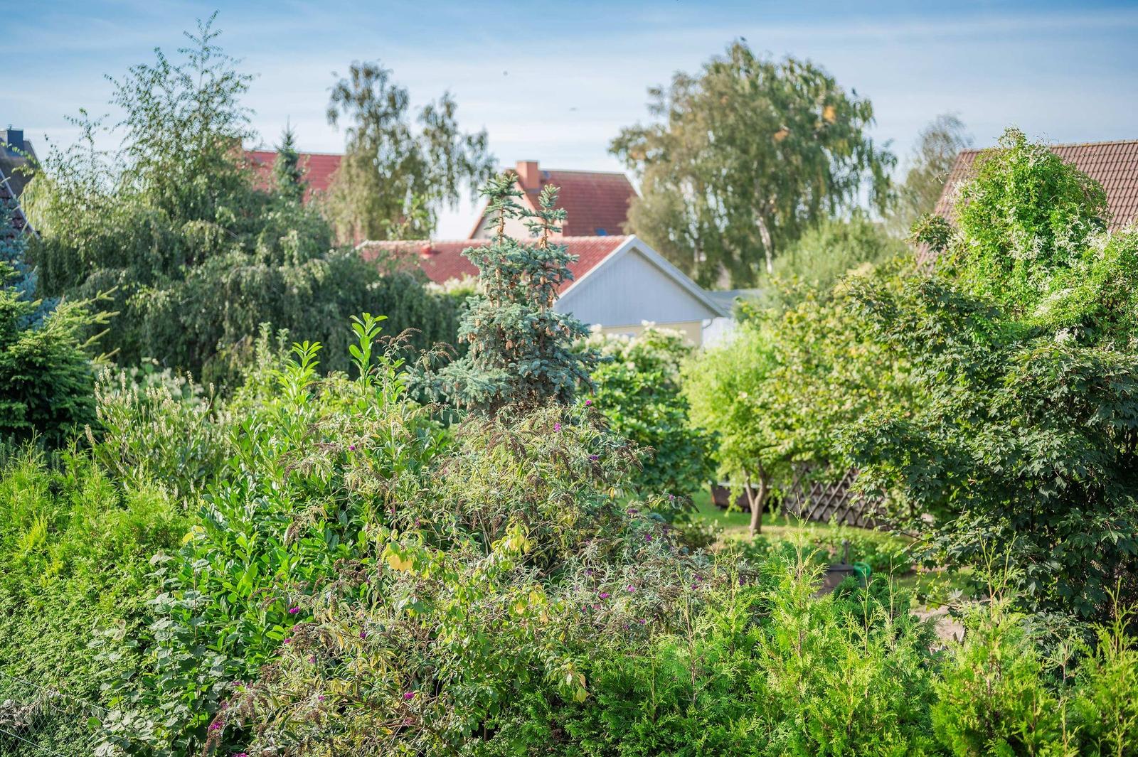 Gartenblick