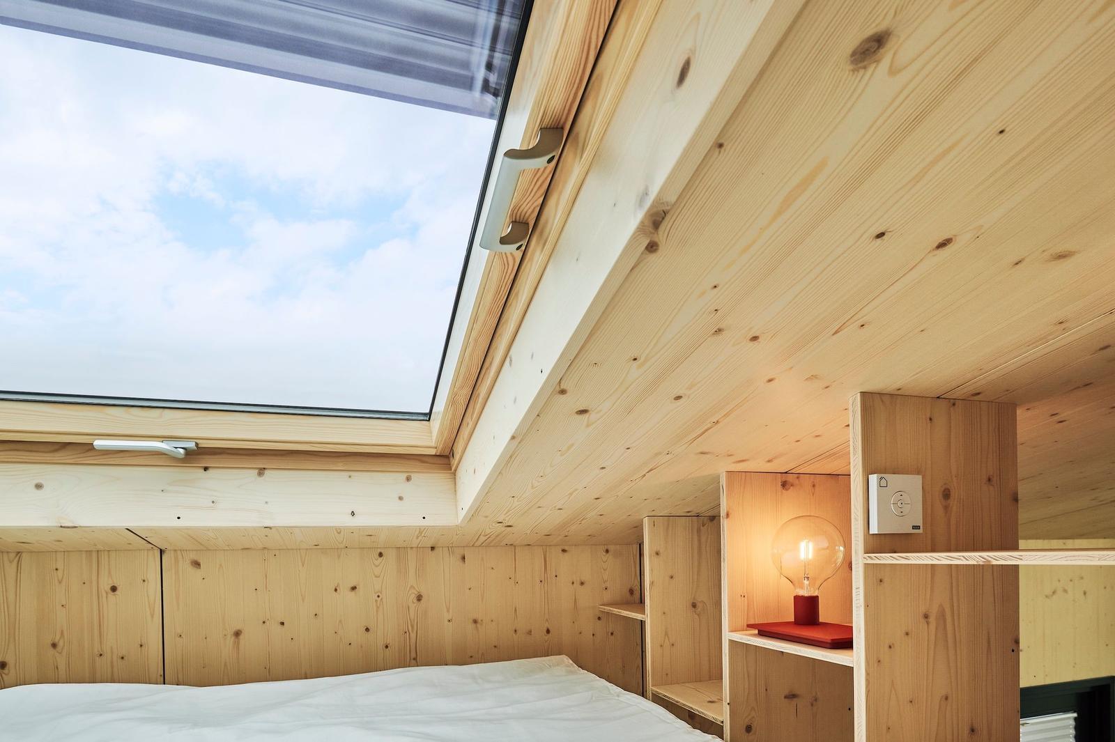 View from a skylight onto a grassy area, water, and a tree.