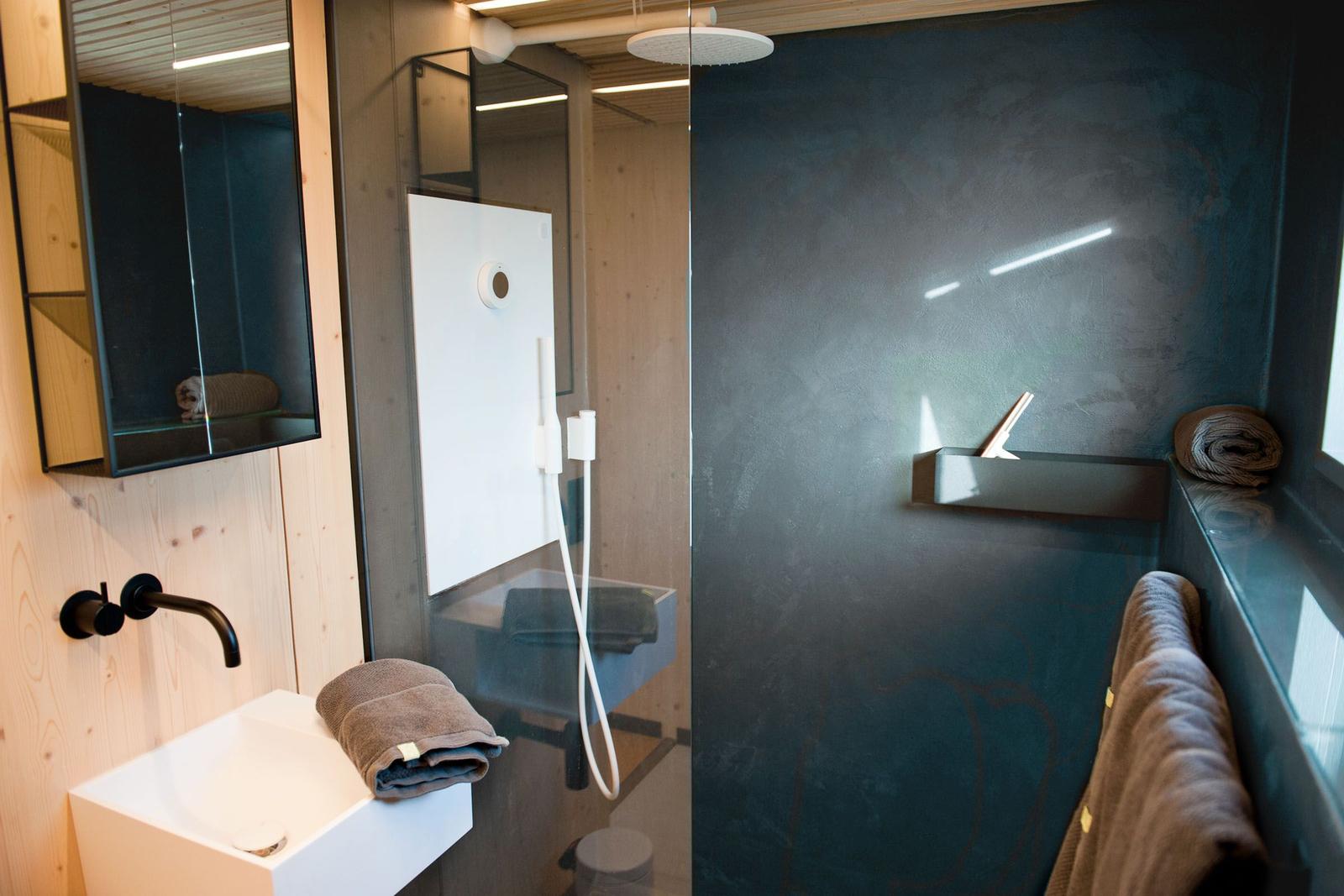 Badezimmer mit Toilette, dunkelgrauer Wand und Holzdecke.