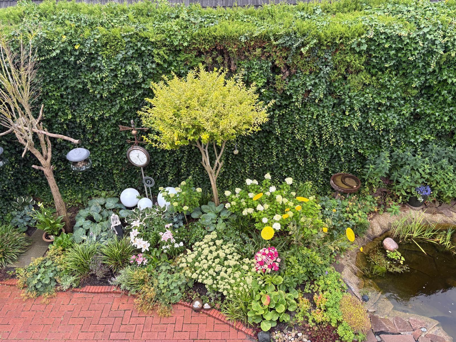 Garten mit Teich, Blumen und weißem Gartenhaus. Pflanzen und Steine umgeben den Teich.