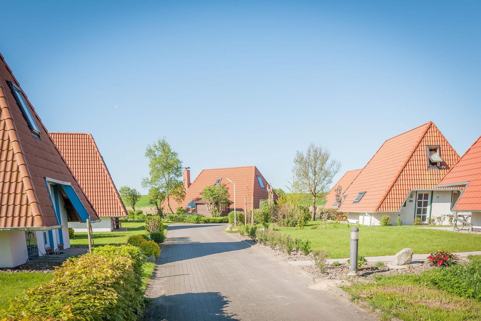 Grünes Feld mit gelben Blumen im Vordergrund, dahinter Häuser mit roten Dächern und Bäume unter blauem Himmel.