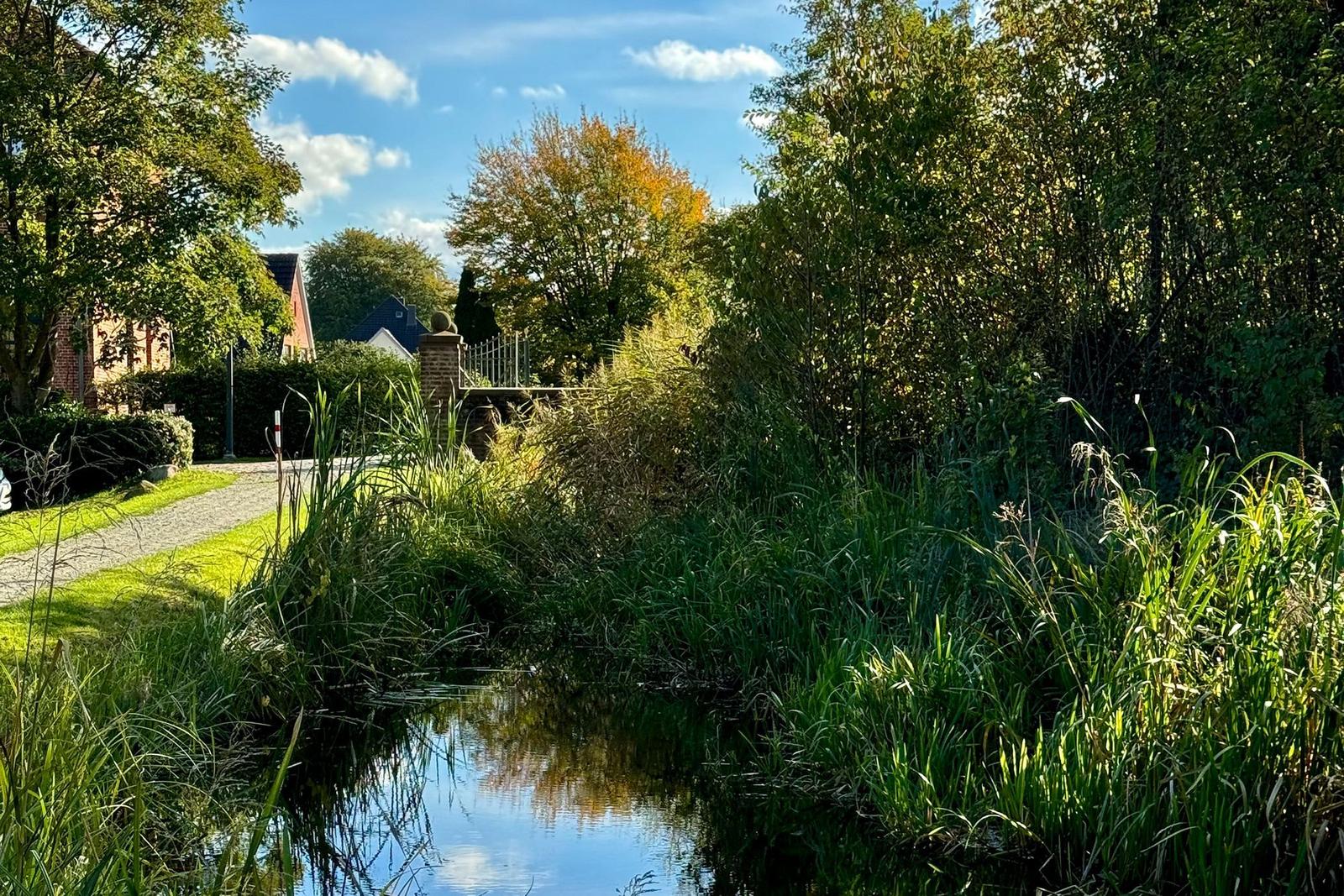 House with thatched roof and timber framing stands by the water, surrounded by greenery.