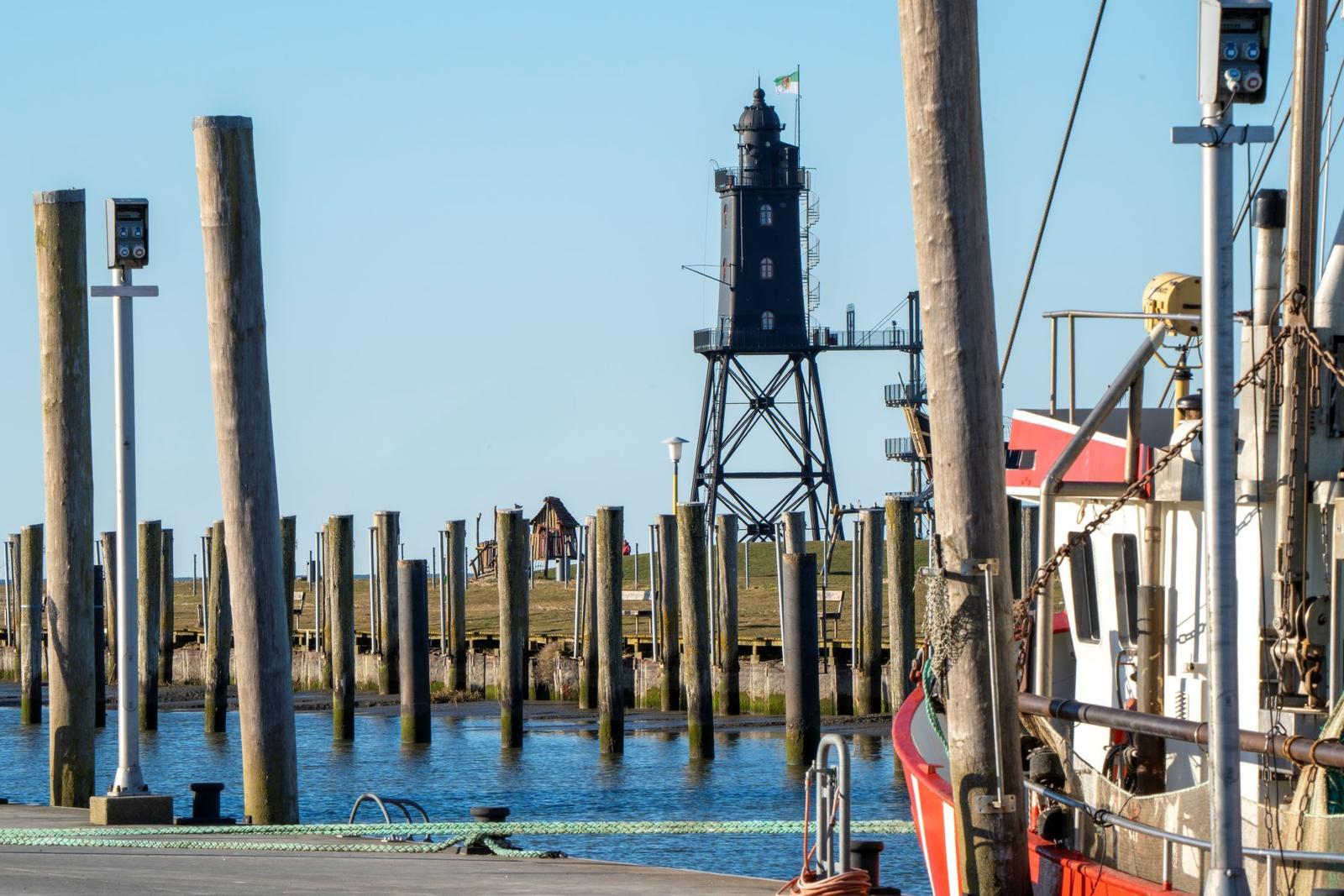 Lighthouse on tidal flats, surrounded by water and reeds.