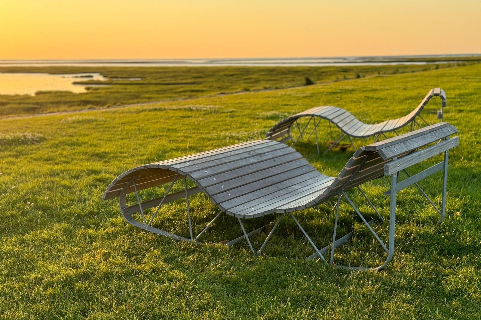 Eine Schaf mit gelben Ohrmarken steht im Gras und blickt in die Kamera.