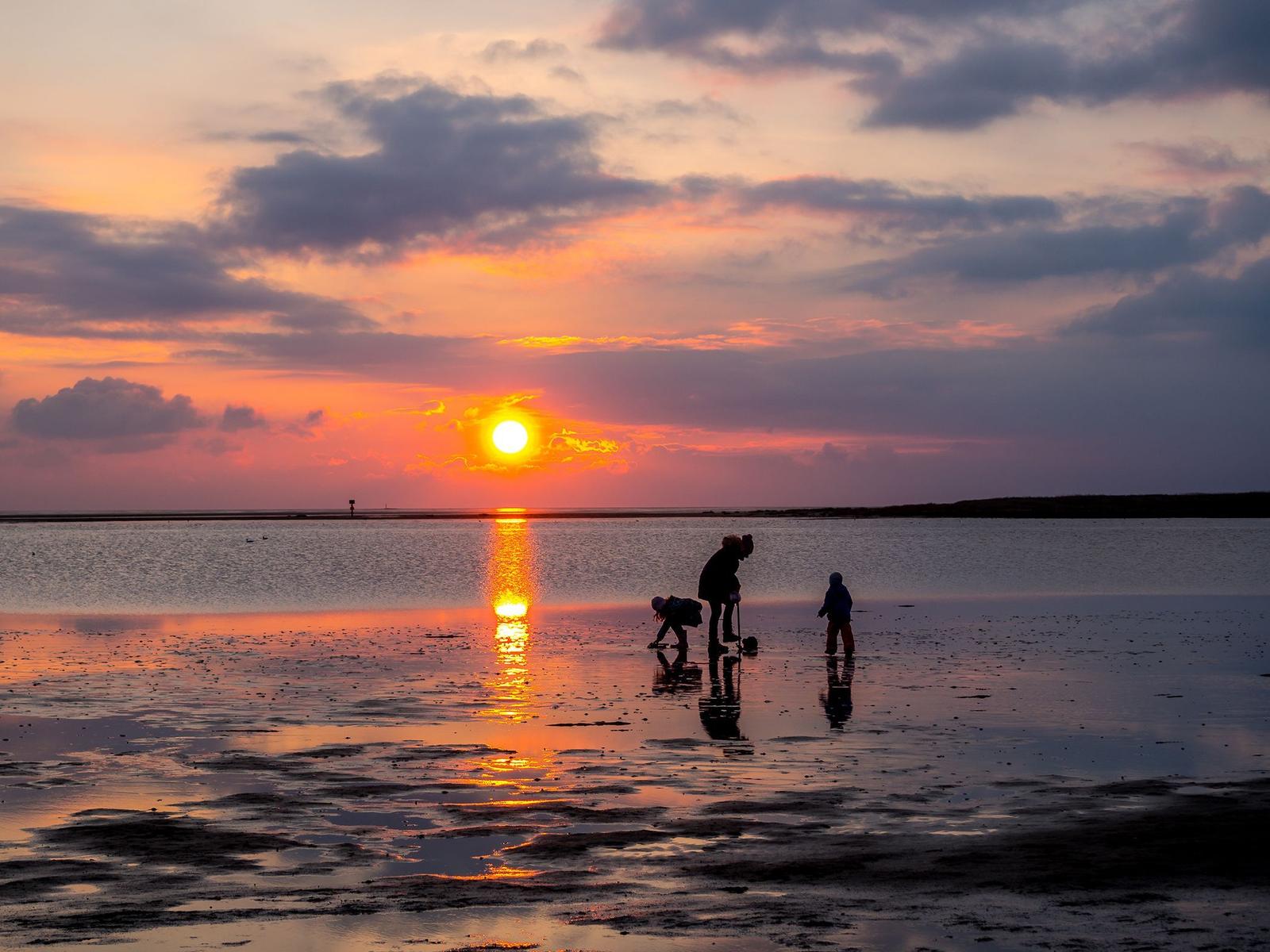 Grünes Strandgelände mit vielen nummerierten Strandkörben und Blick aufs Meer.