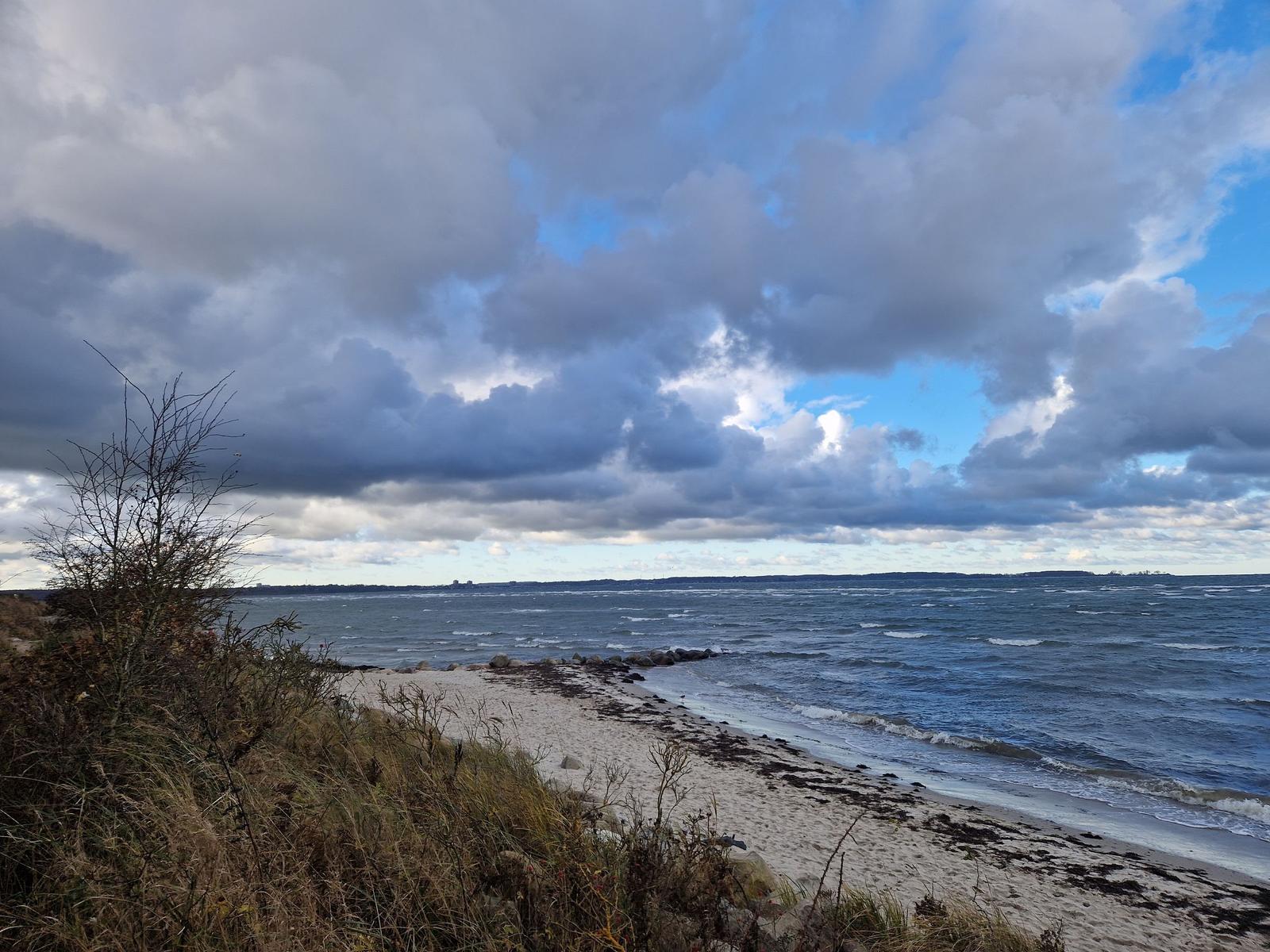 Ein Baum am Strand mit Blick auf das Meer unter bewölktem Himmel.