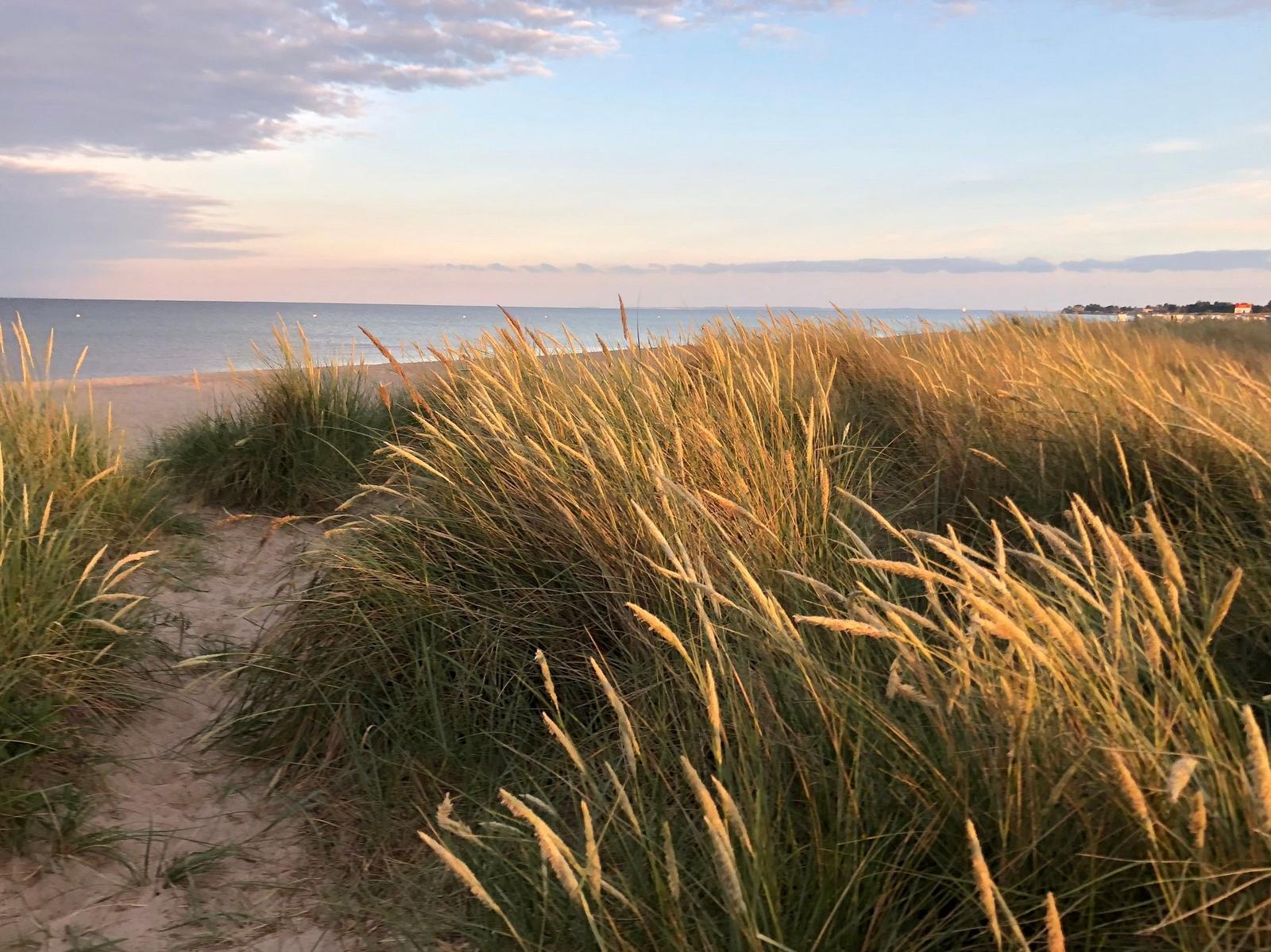 Strand mit Wellen, Segelboote im Hintergrund und eine fliegende Möwe.