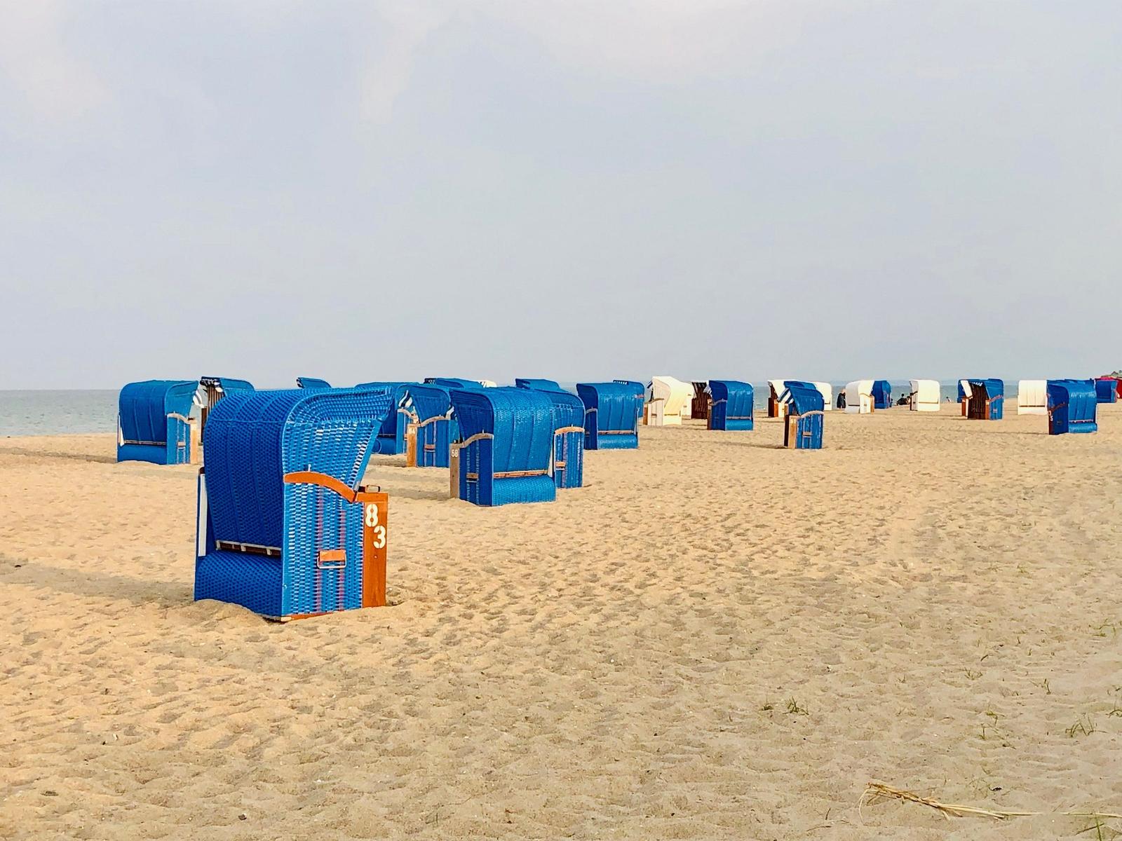 Sonnenuntergang über dem Strand mit Dünengras im Vordergrund.
