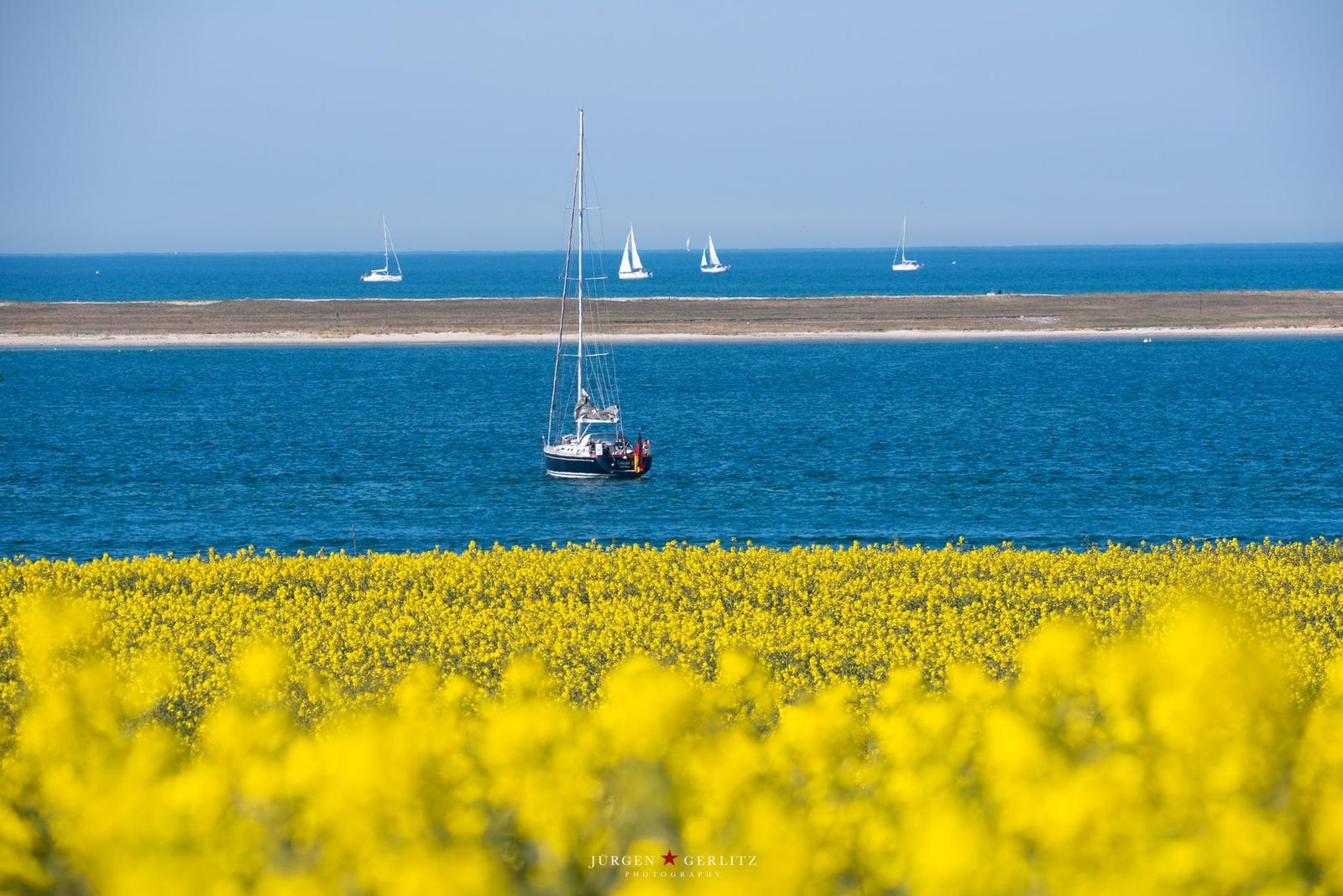 Holzbrücke führt durch Sanddünen zu einem Strand mit Meer und blauem Himmel.