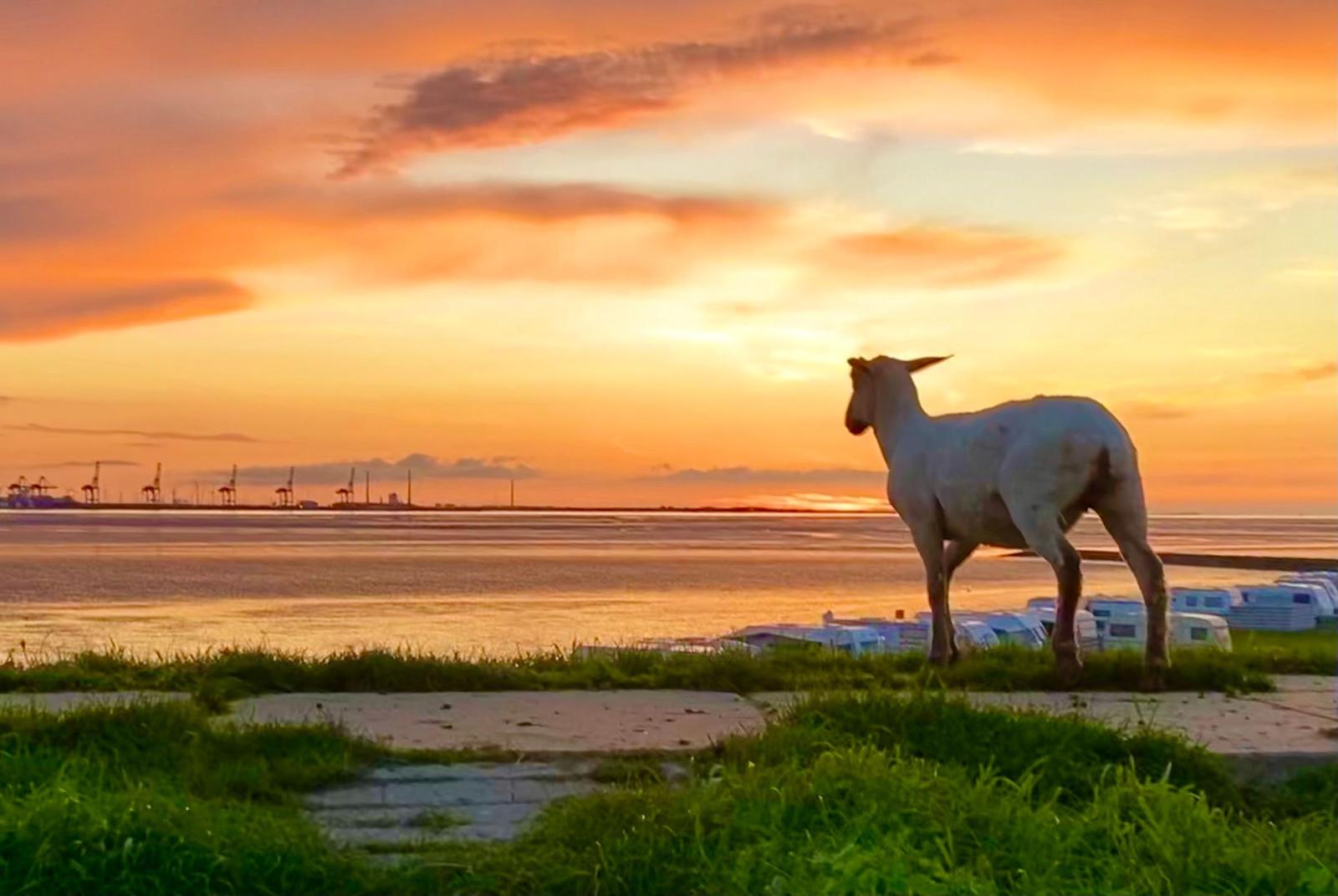 Sonnenuntergang über Wasser mit Industrie im Hintergrund