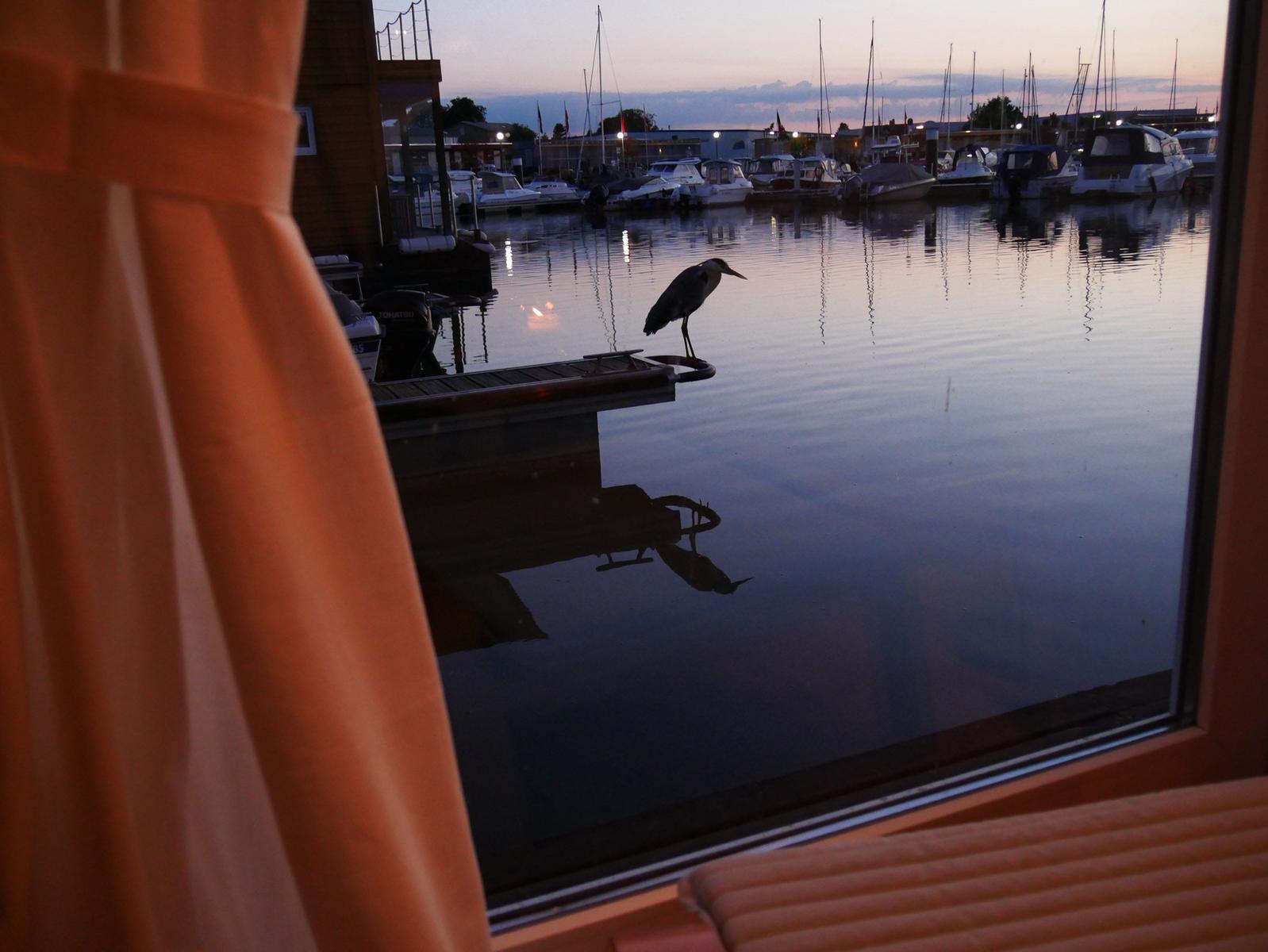 Hafen mit Blick auf ruhiges Wasser und Felder im Hintergrund.