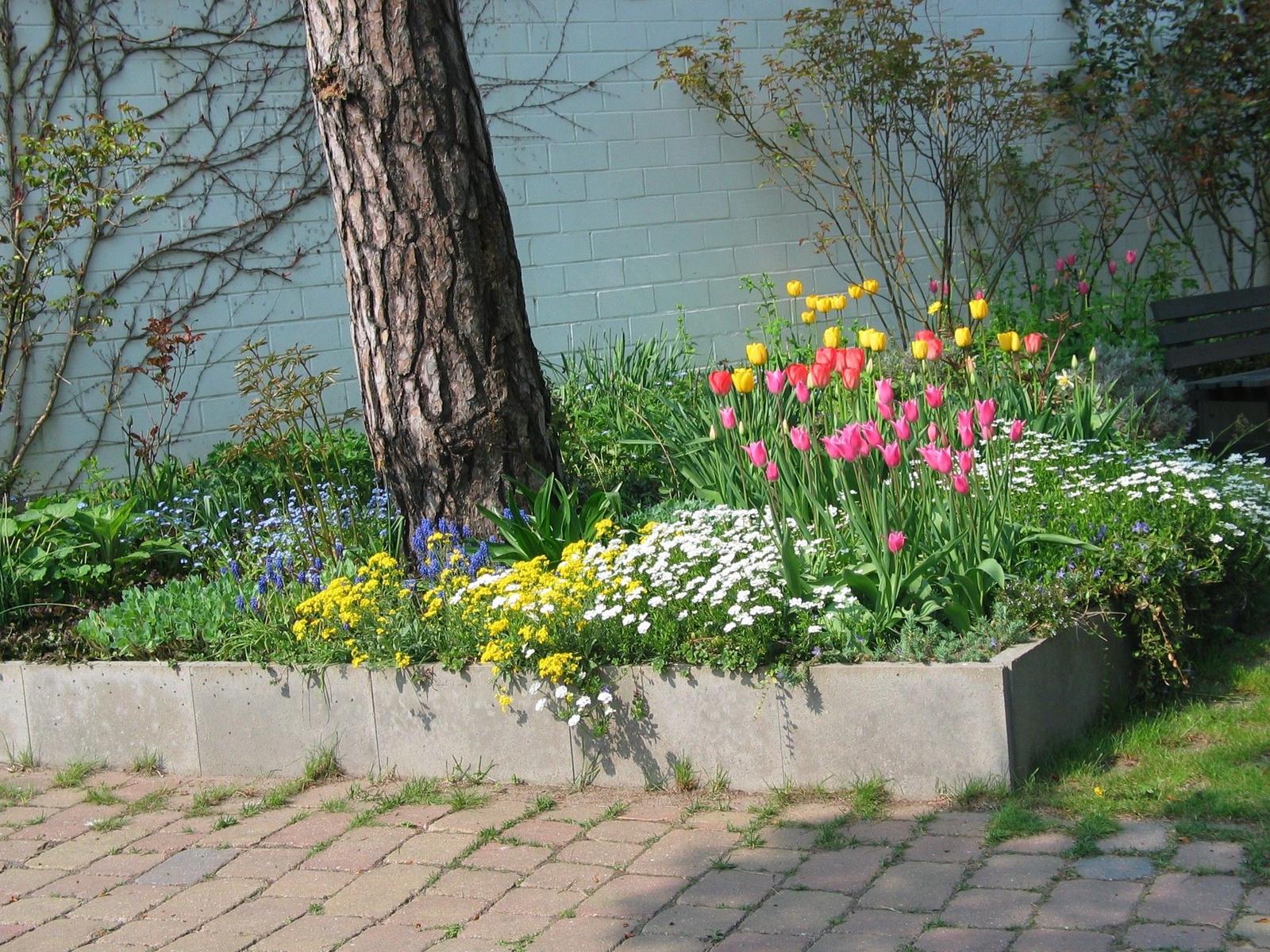 Haus mit gepflastertem Hof, großen Baum und Blumenbeete.