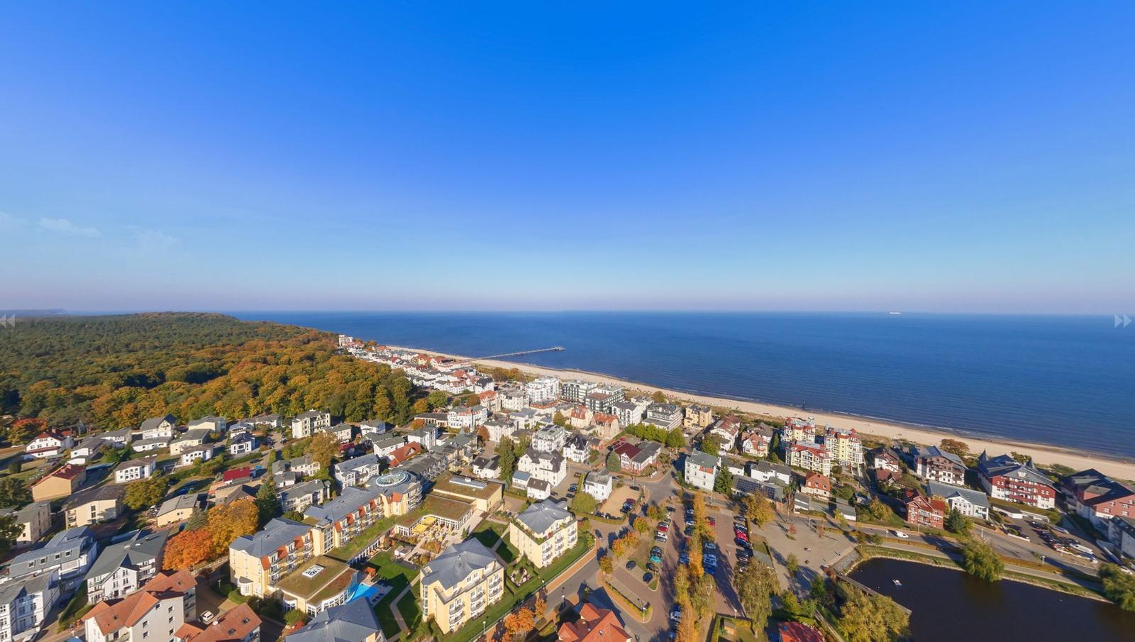Aerial view of coastal town with beach, forest, and residential buildings.