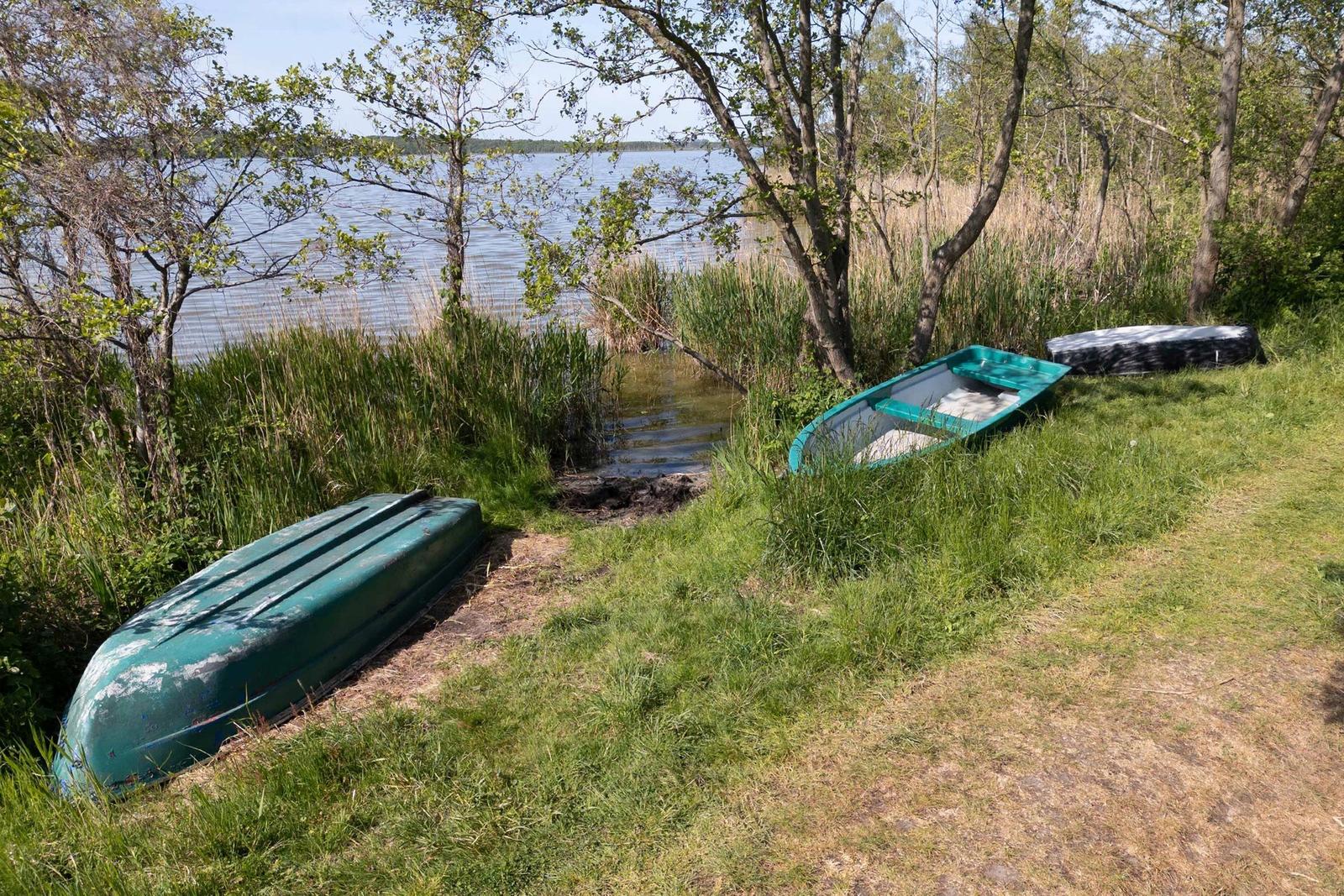 Holzsteg führt zum Ufer eines Sees. Umgeben von hohem Gras und Bäumen.