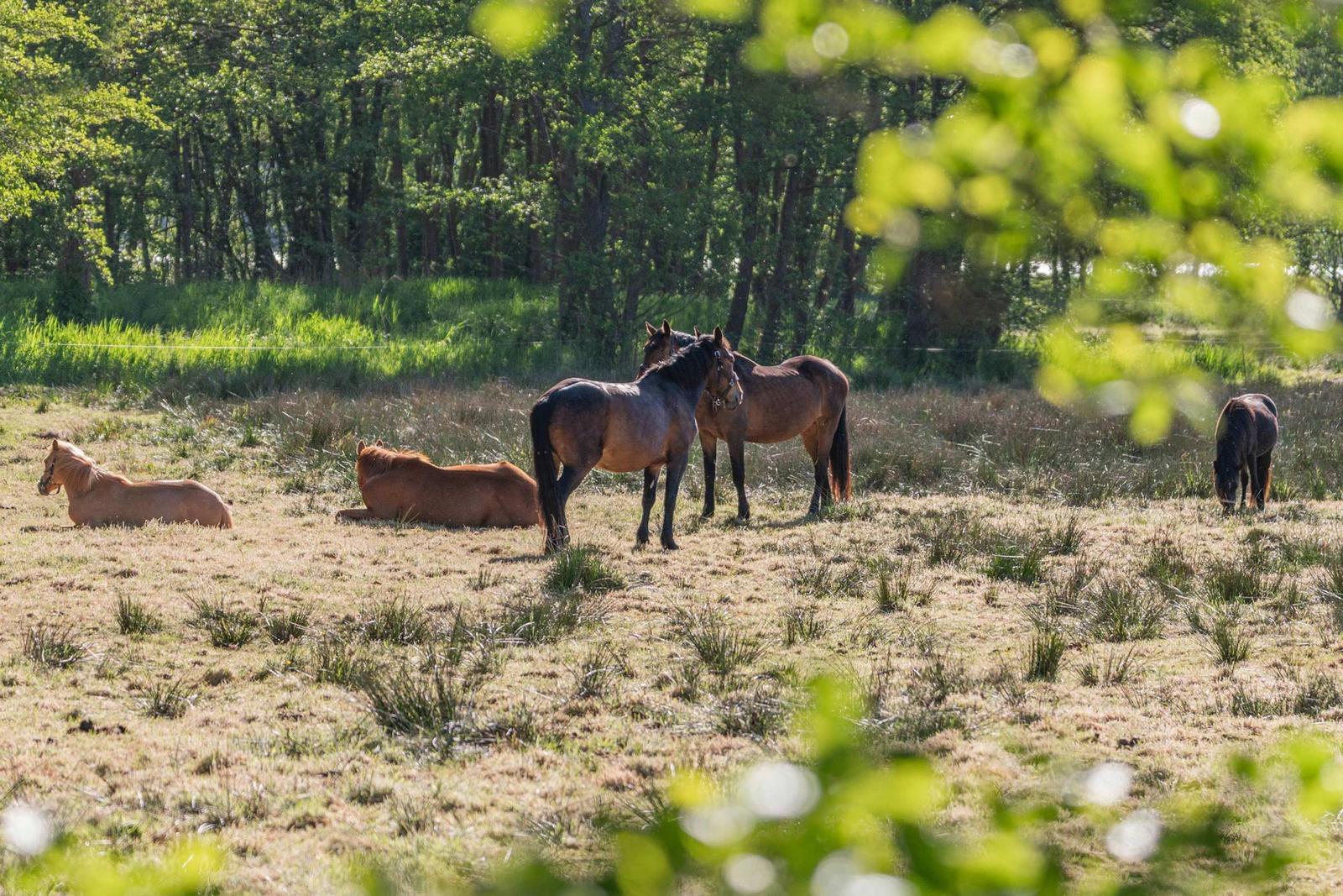 Zwei Fahrräder stehen im Freien neben einer Holzbank. Hinter ihnen erstreckt sich ein grünes Feld.