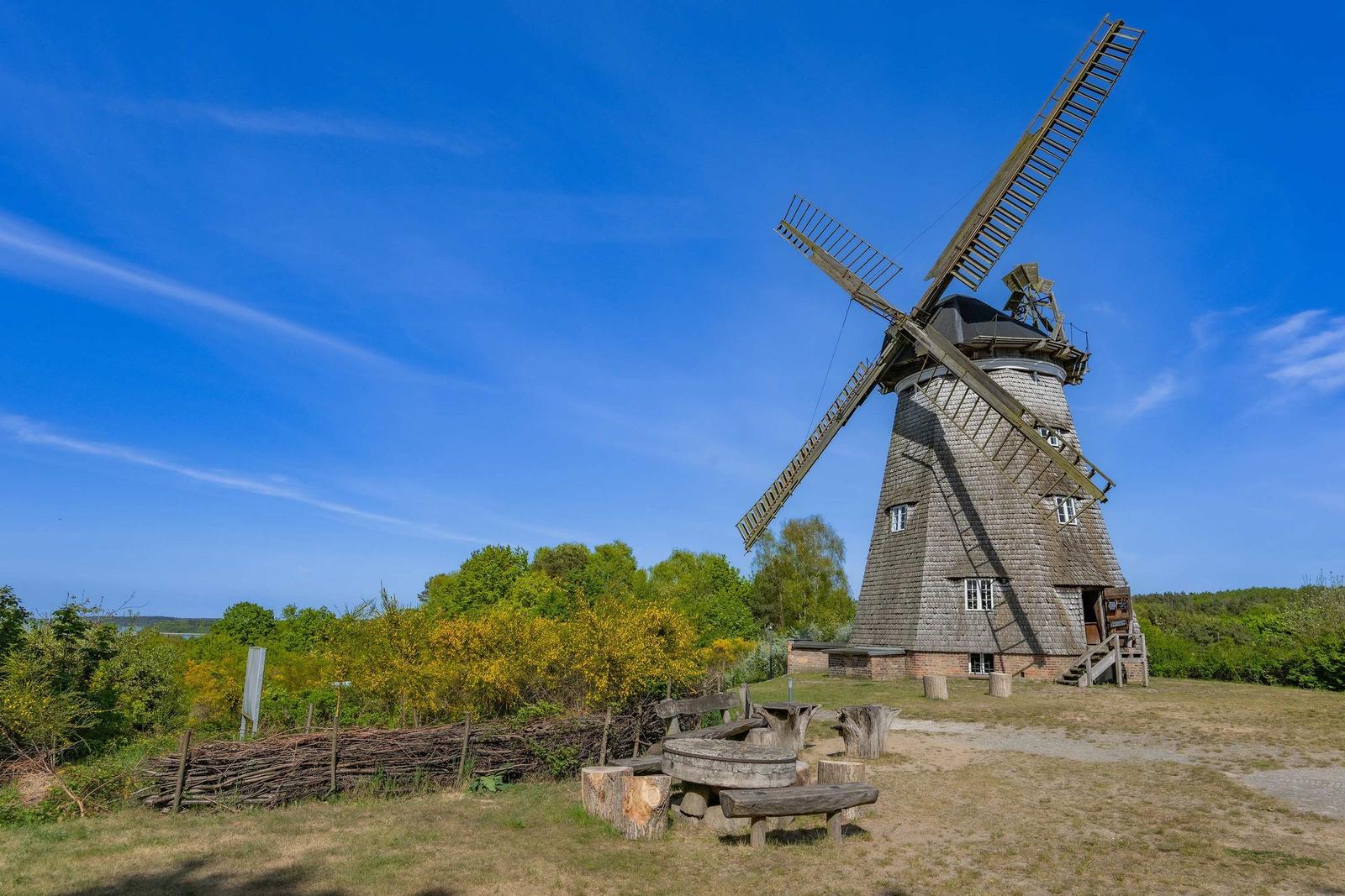 Turm mit dunklem Dach und Windrose über See und Wald.