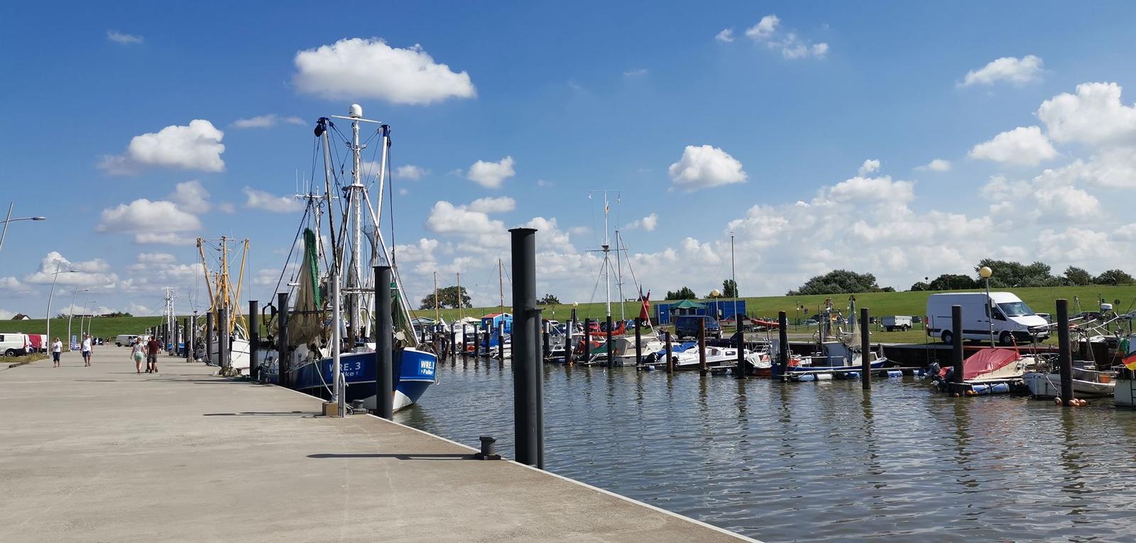 Luftbild einer Siedlung mit roten Dächern, grünen Wiesen und einem Strandbereich.