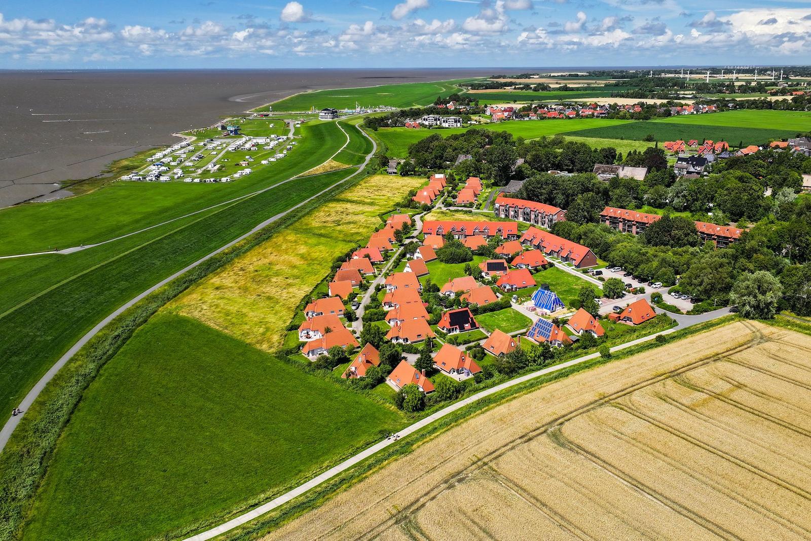 Grünes Feld am Strand mit Menschen, Strandkörben und einem Kitesurfer.