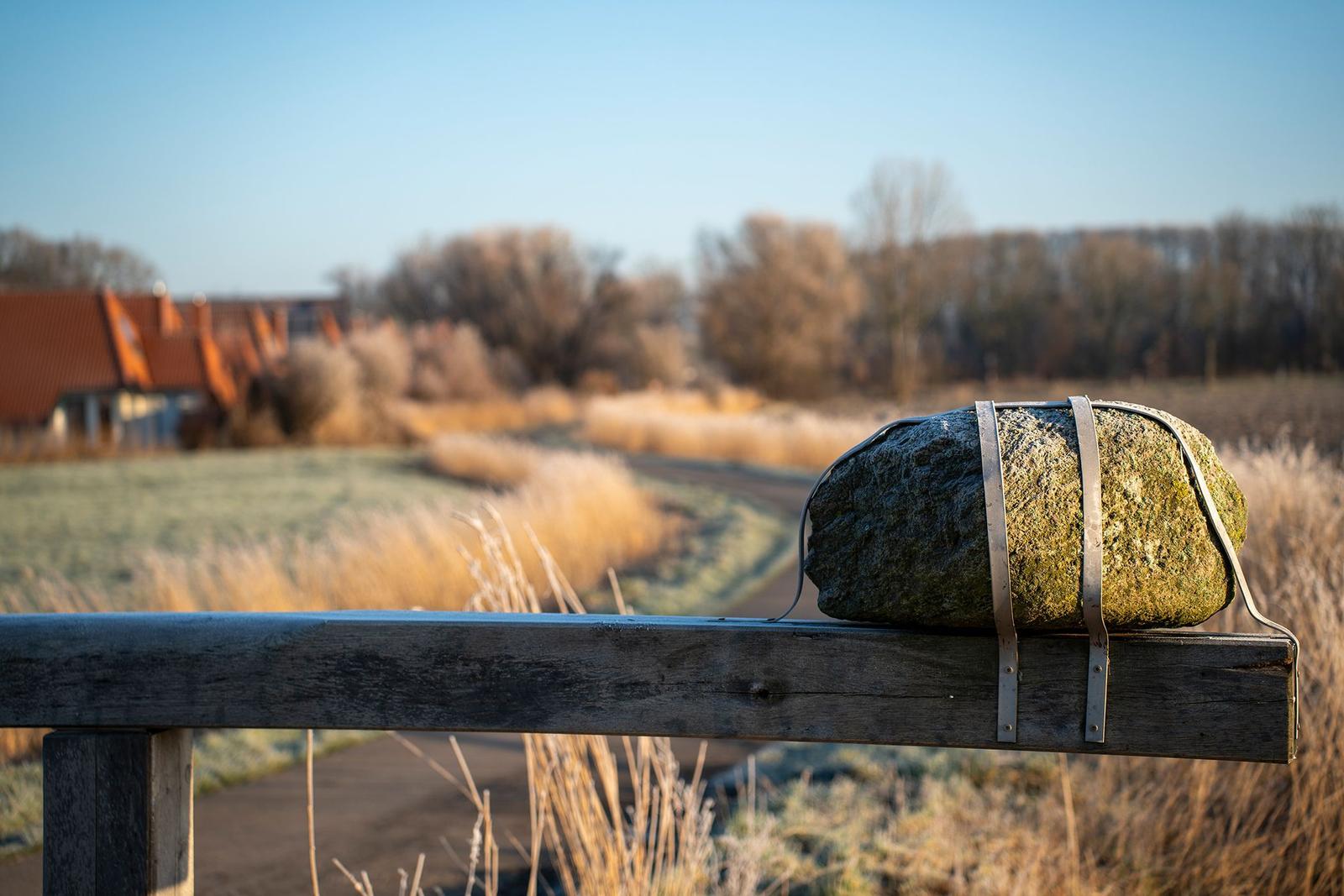 Hütte mit Rädern auf Gras nahe Wasser bei Sonnenuntergang