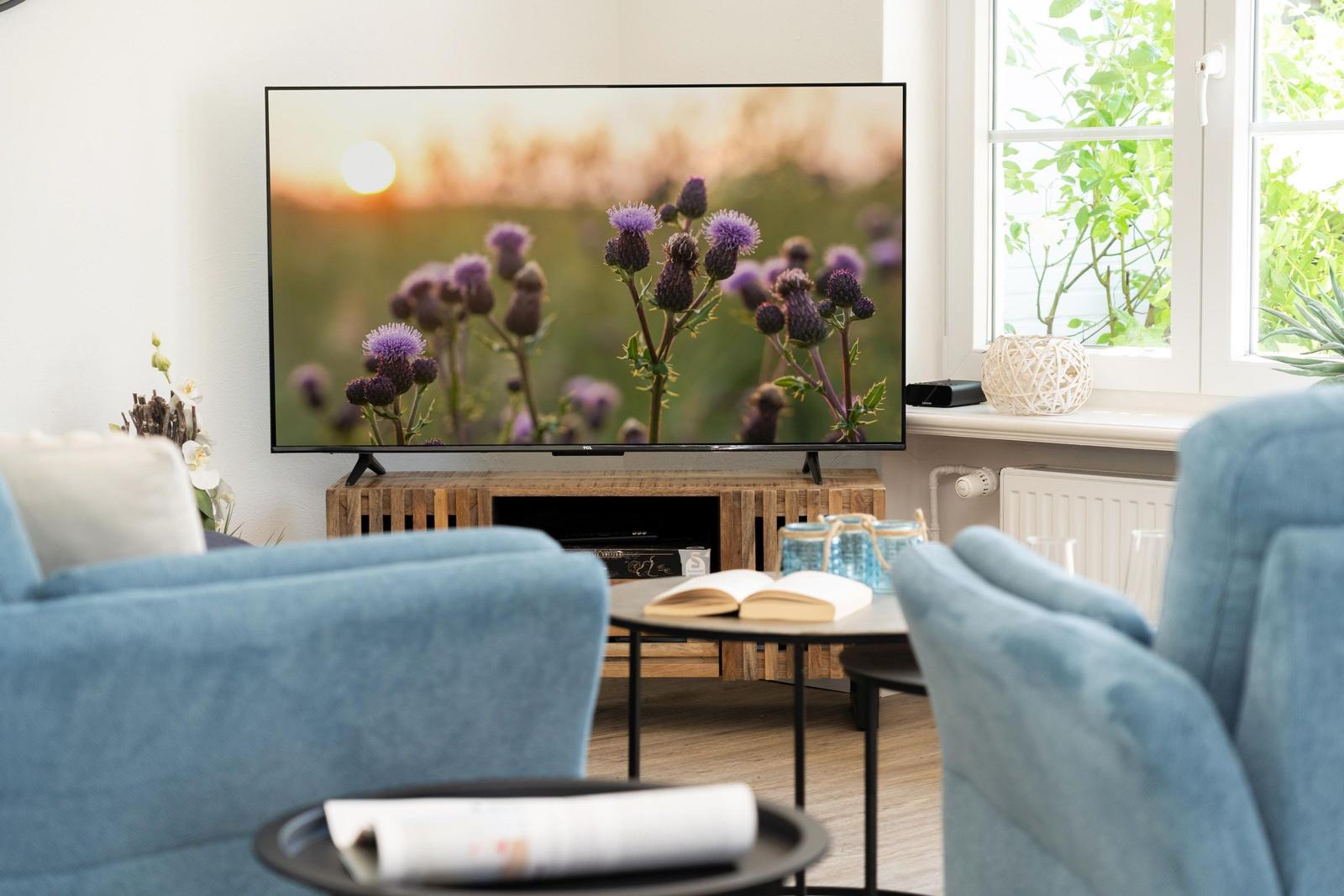TV / Multimedia