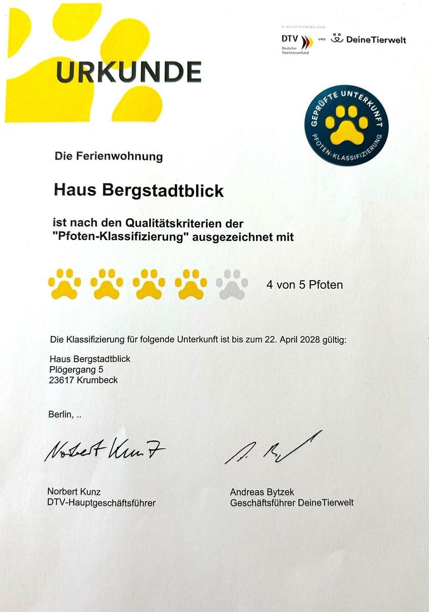Hinterhof mit Rasen, Pflasterweg und Eingangstreppe. Hinterhof mit Rasen, Pflasterweg und Eingangstreppe.